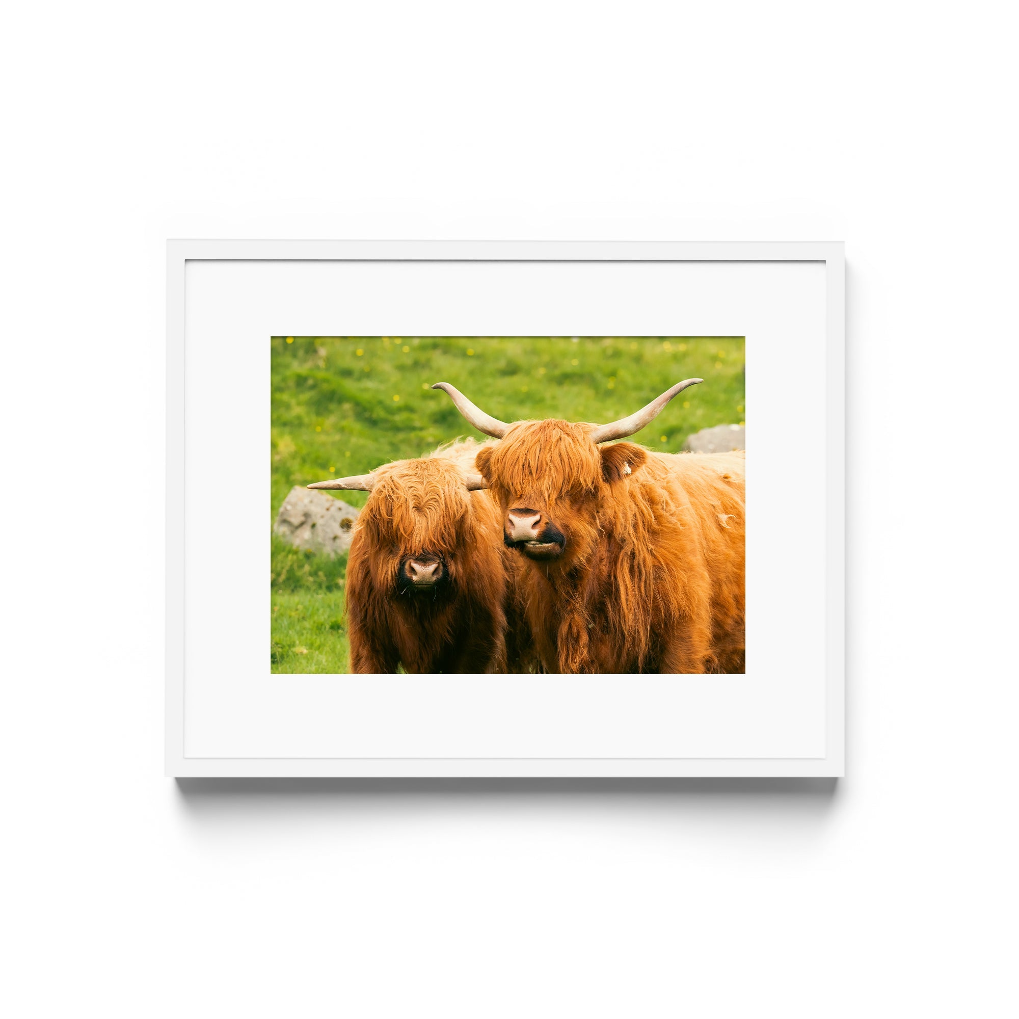 MOO POINT - DANA GALLERYGeorge LozadaDANA GALLERYDANA GALLERYGeorge Lozada