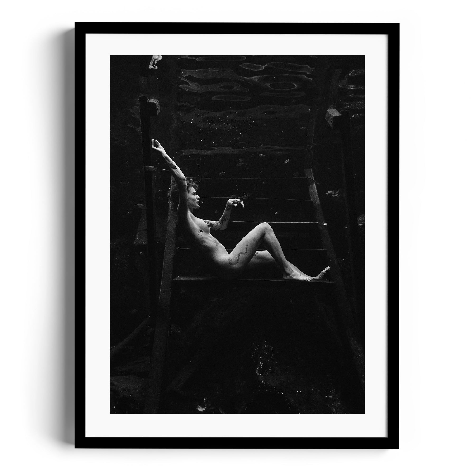 Noir Suspension - DANA GALLERYMario AlzateDANA GALLERYDANA GALLERYMario Alzate