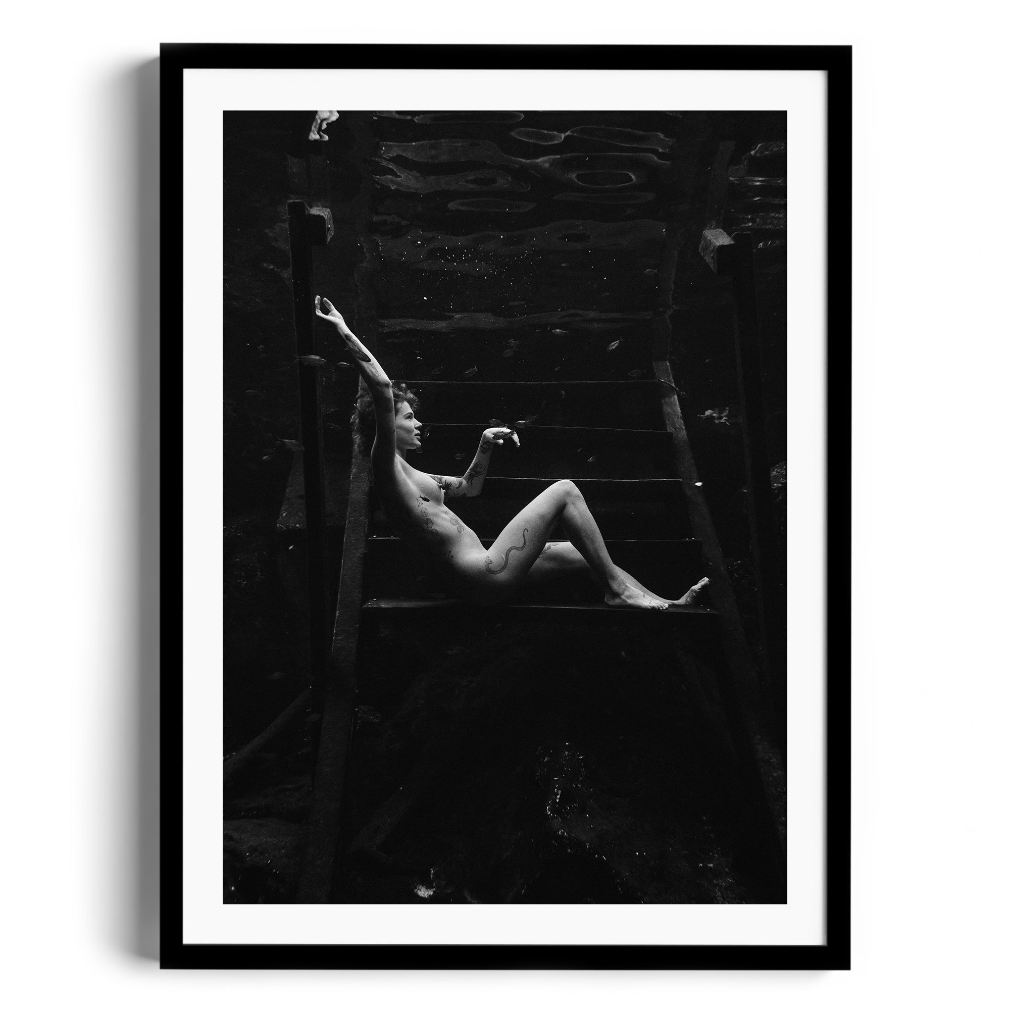 Noir Suspension - DANA GALLERYMario AlzateDANA GALLERYDANA GALLERYMario Alzate