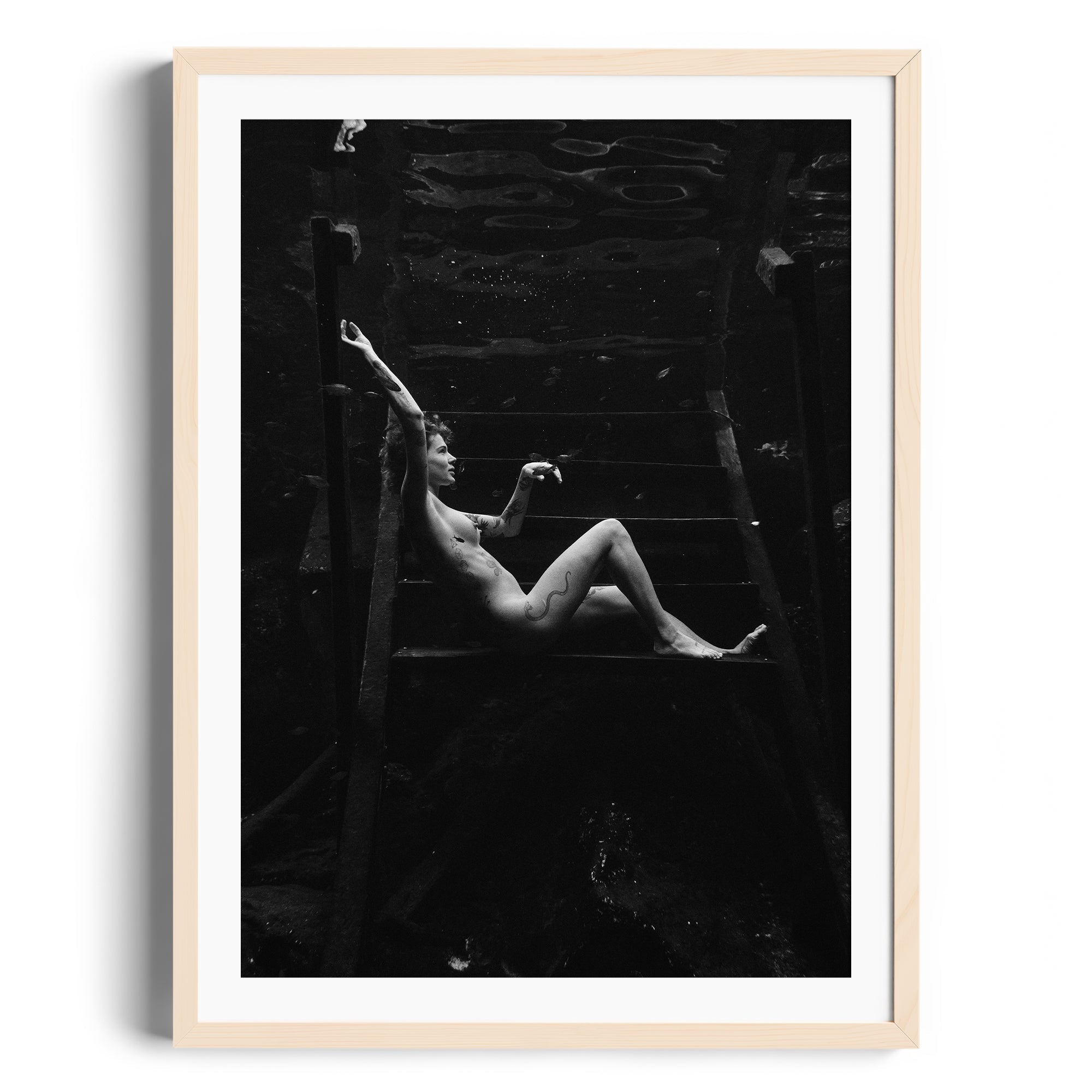 Noir Suspension - DANA GALLERYMario AlzateDANA GALLERYDANA GALLERYMario Alzate