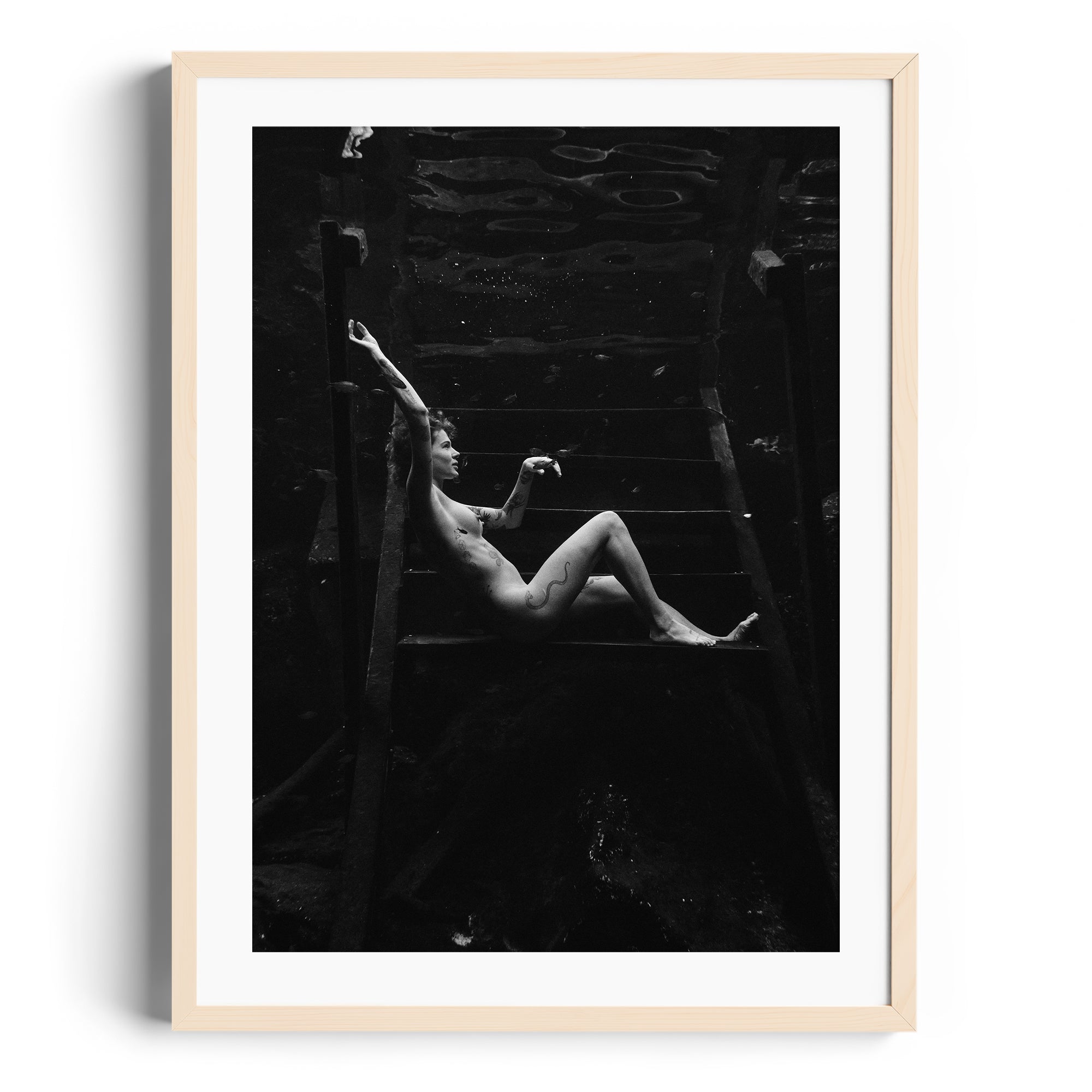 Noir Suspension - DANA GALLERYMario AlzateDANA GALLERYDANA GALLERYMario Alzate