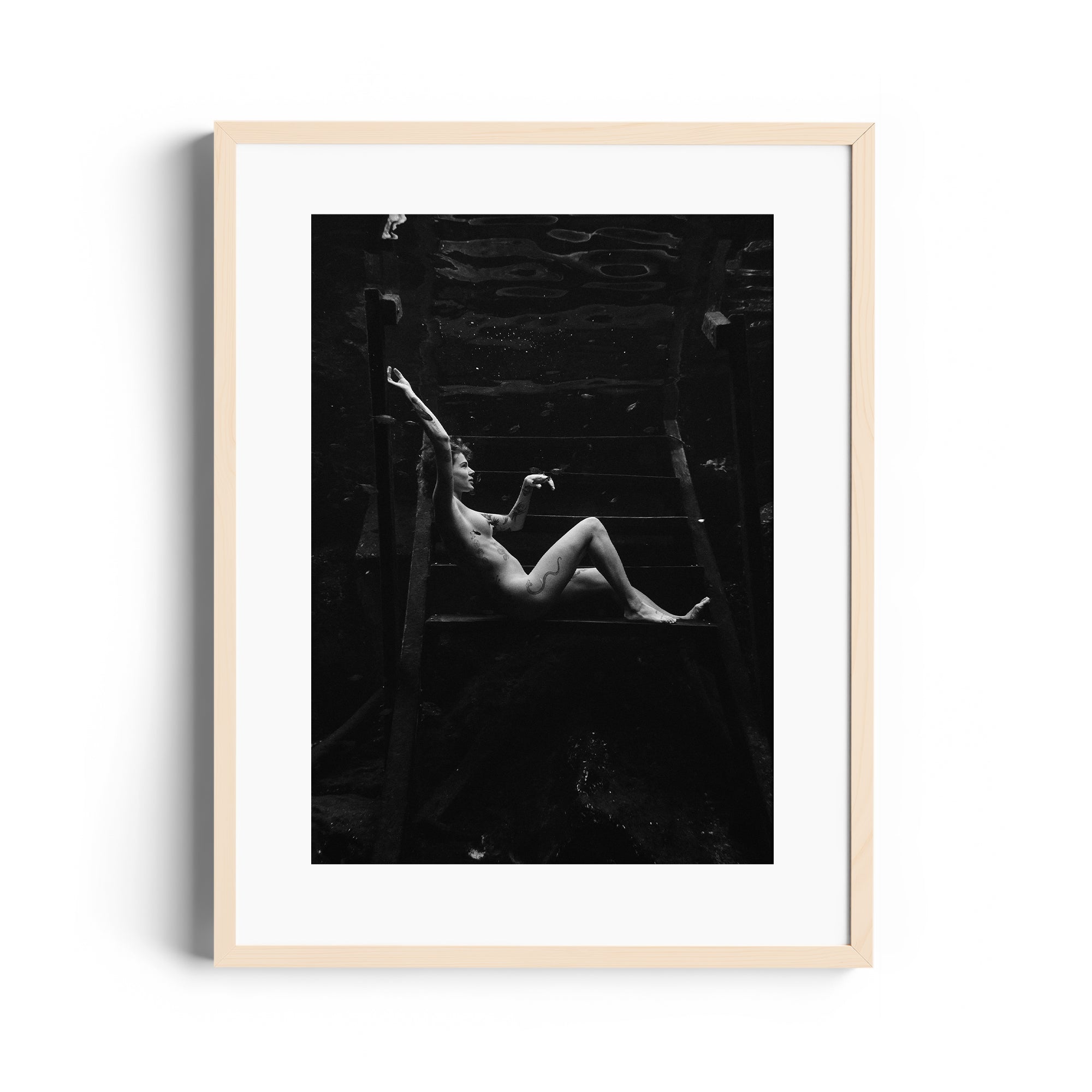 Noir Suspension - DANA GALLERYMario AlzateDANA GALLERYDANA GALLERYMario Alzate