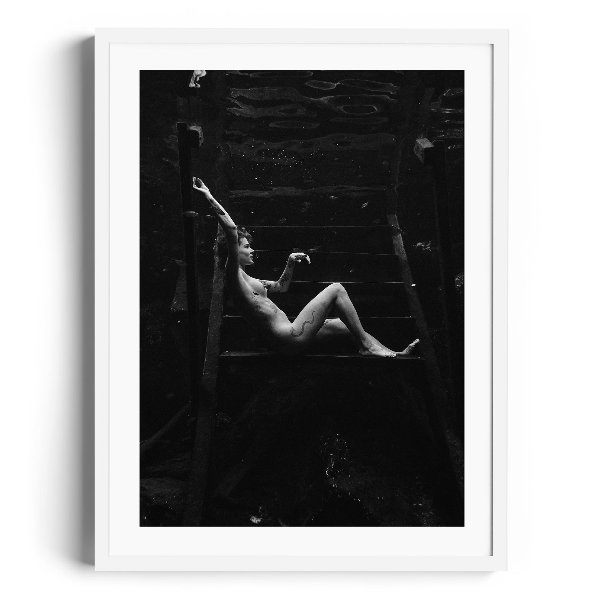 Noir Suspension - DANA GALLERYMario AlzateDANA GALLERYDANA GALLERYMario Alzate