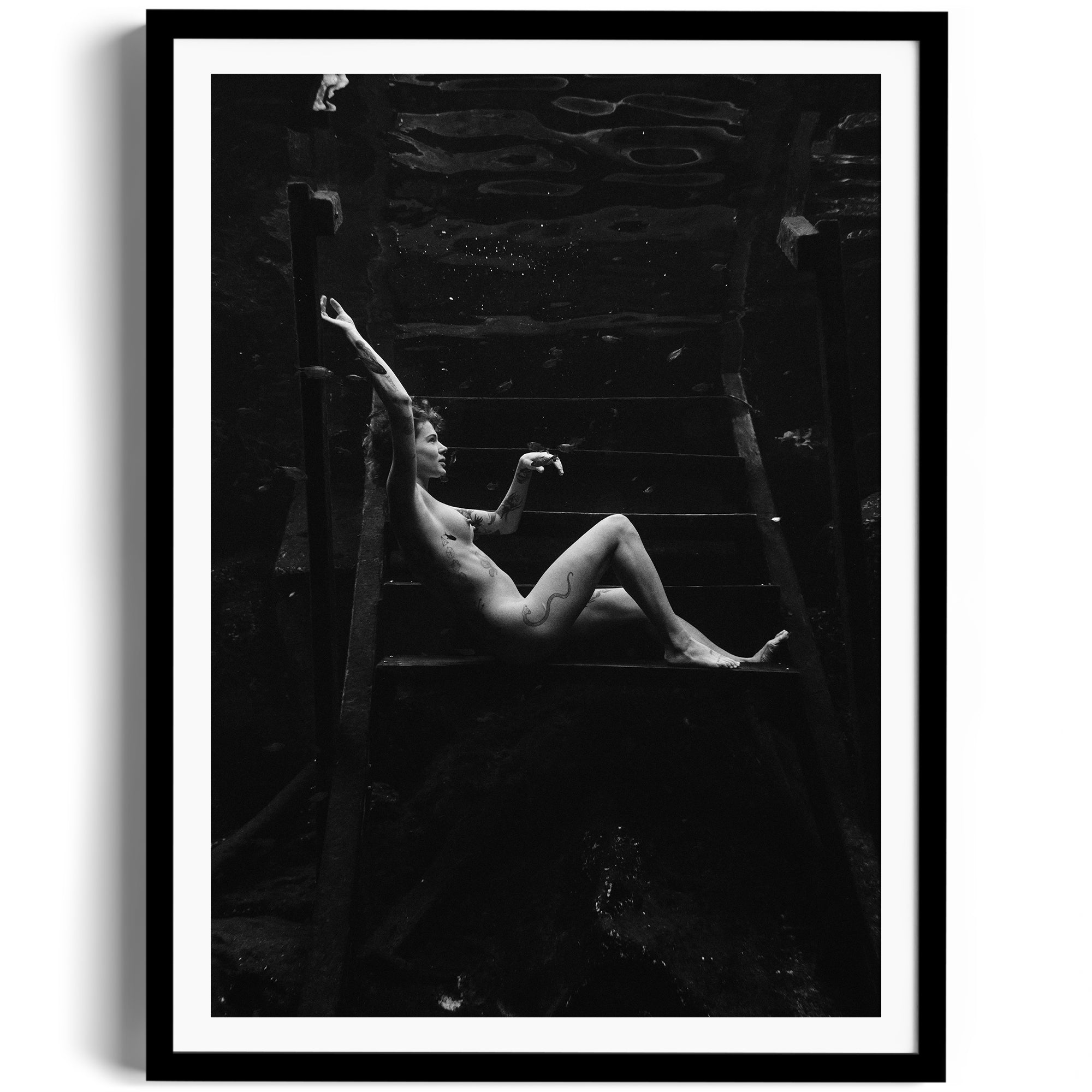 Noir Suspension - DANA GALLERYMario AlzateDANA GALLERYDANA GALLERYMario Alzate