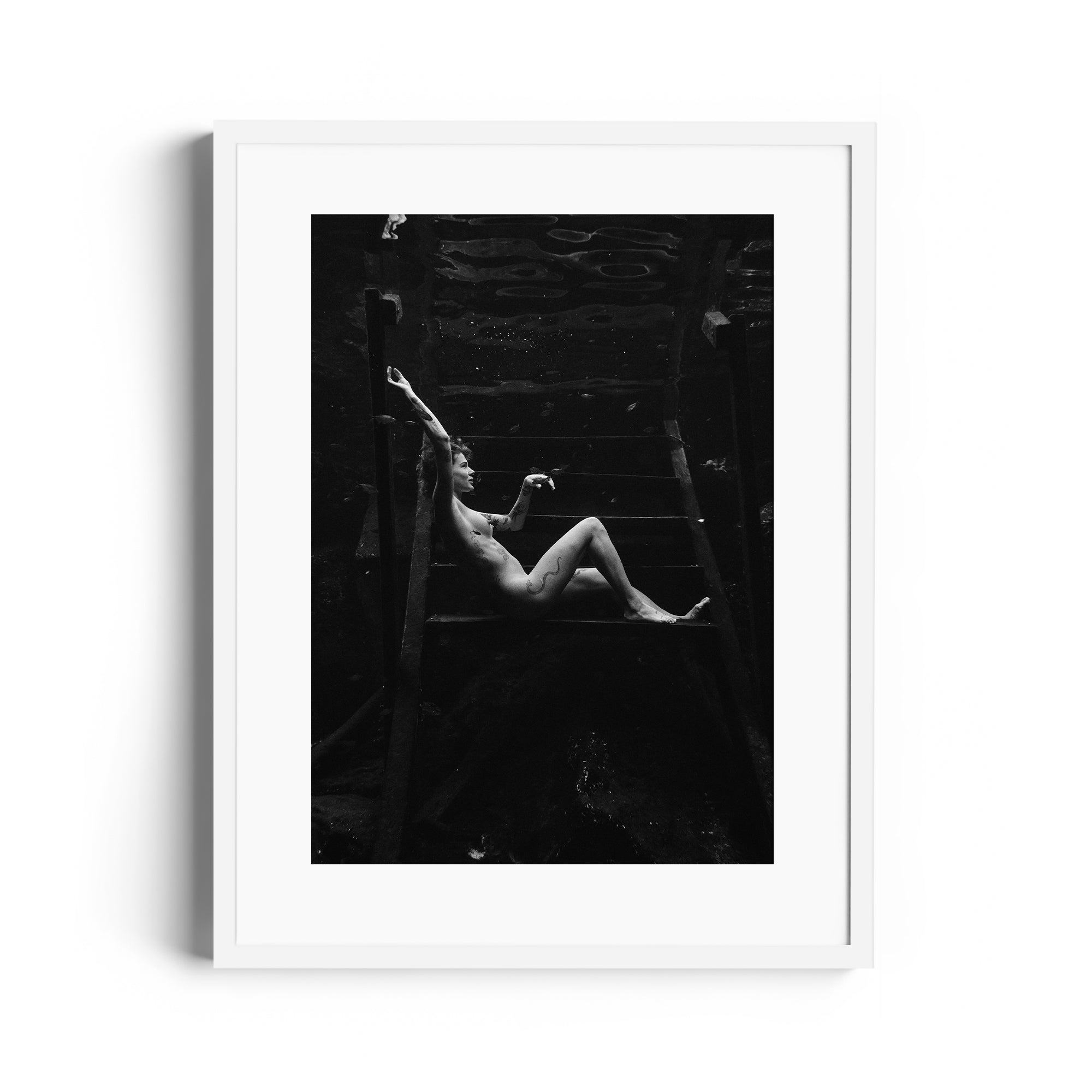 Noir Suspension - DANA GALLERYMario AlzateDANA GALLERYDANA GALLERYMario Alzate
