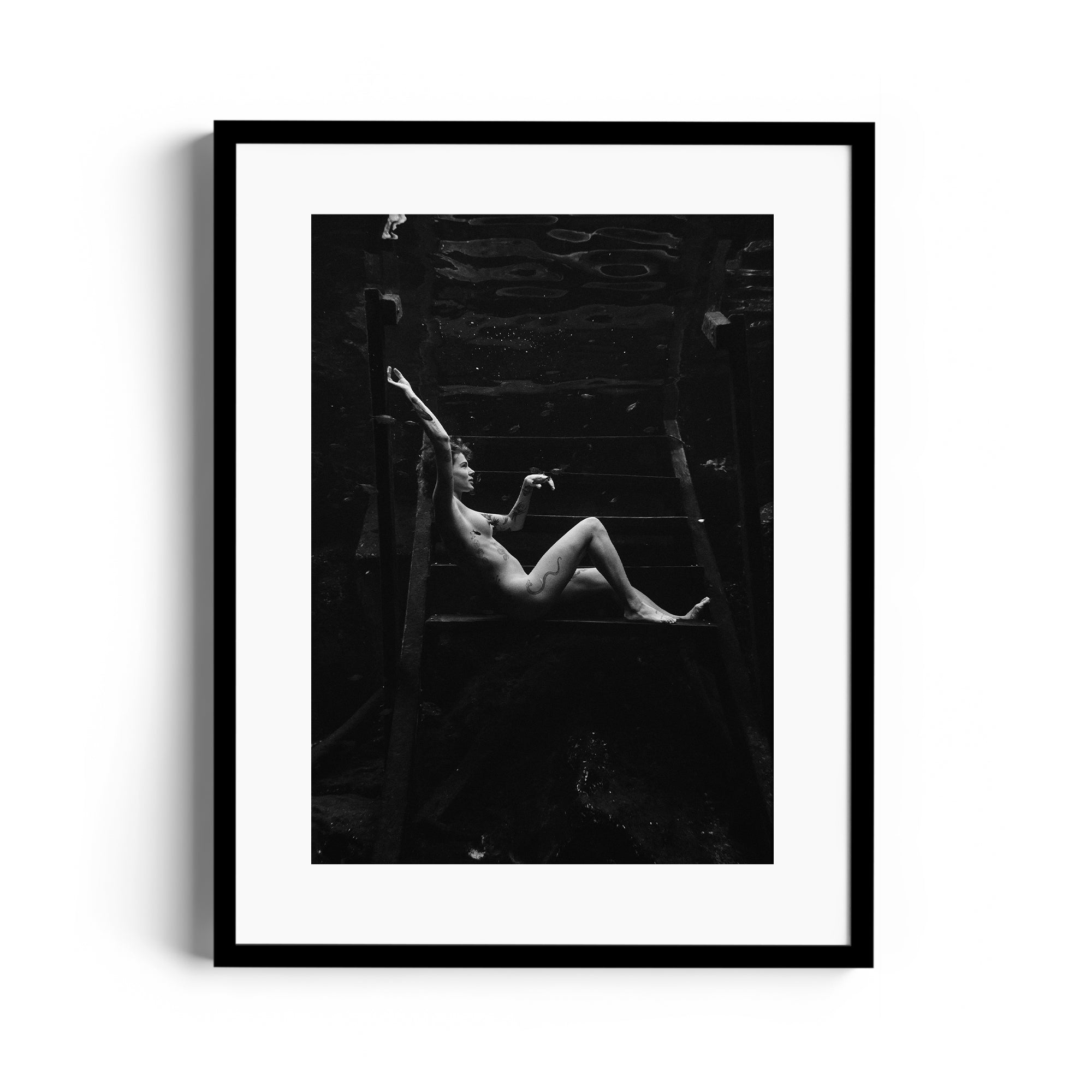 Noir Suspension - DANA GALLERYMario AlzateDANA GALLERYDANA GALLERYMario Alzate