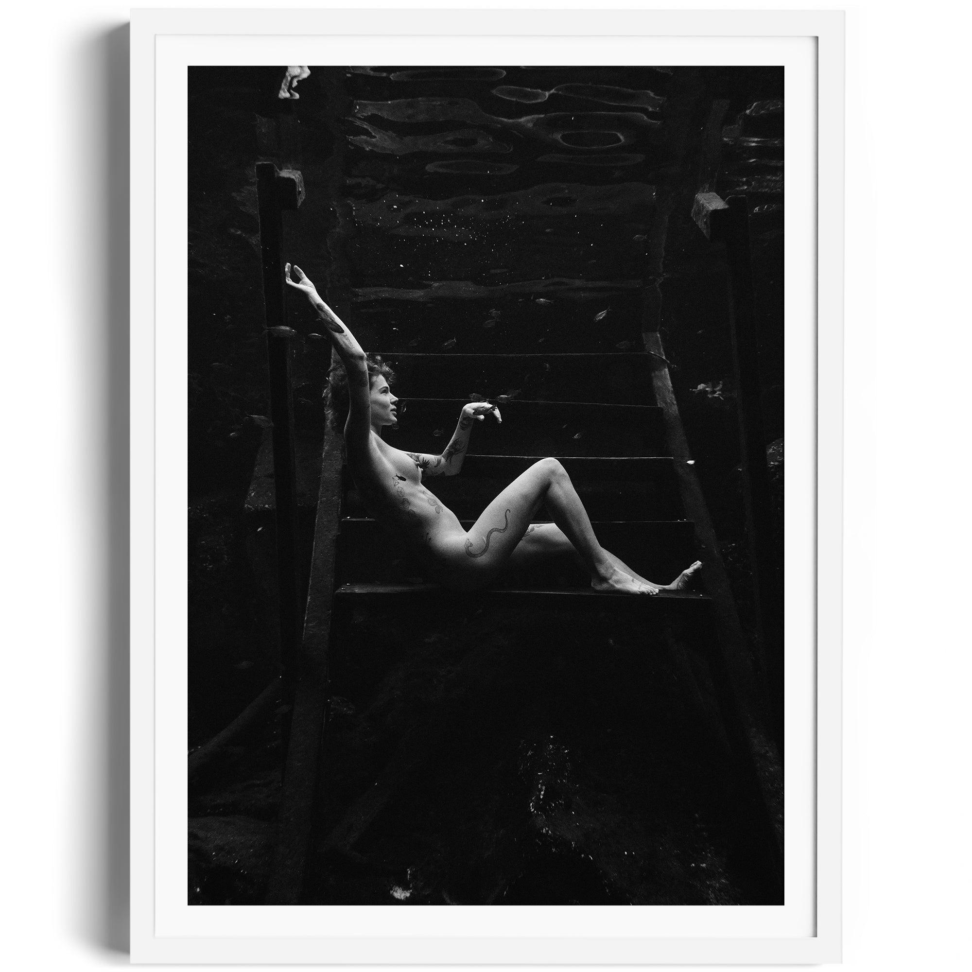 Noir Suspension - DANA GALLERYMario AlzateDANA GALLERYDANA GALLERYMario Alzate