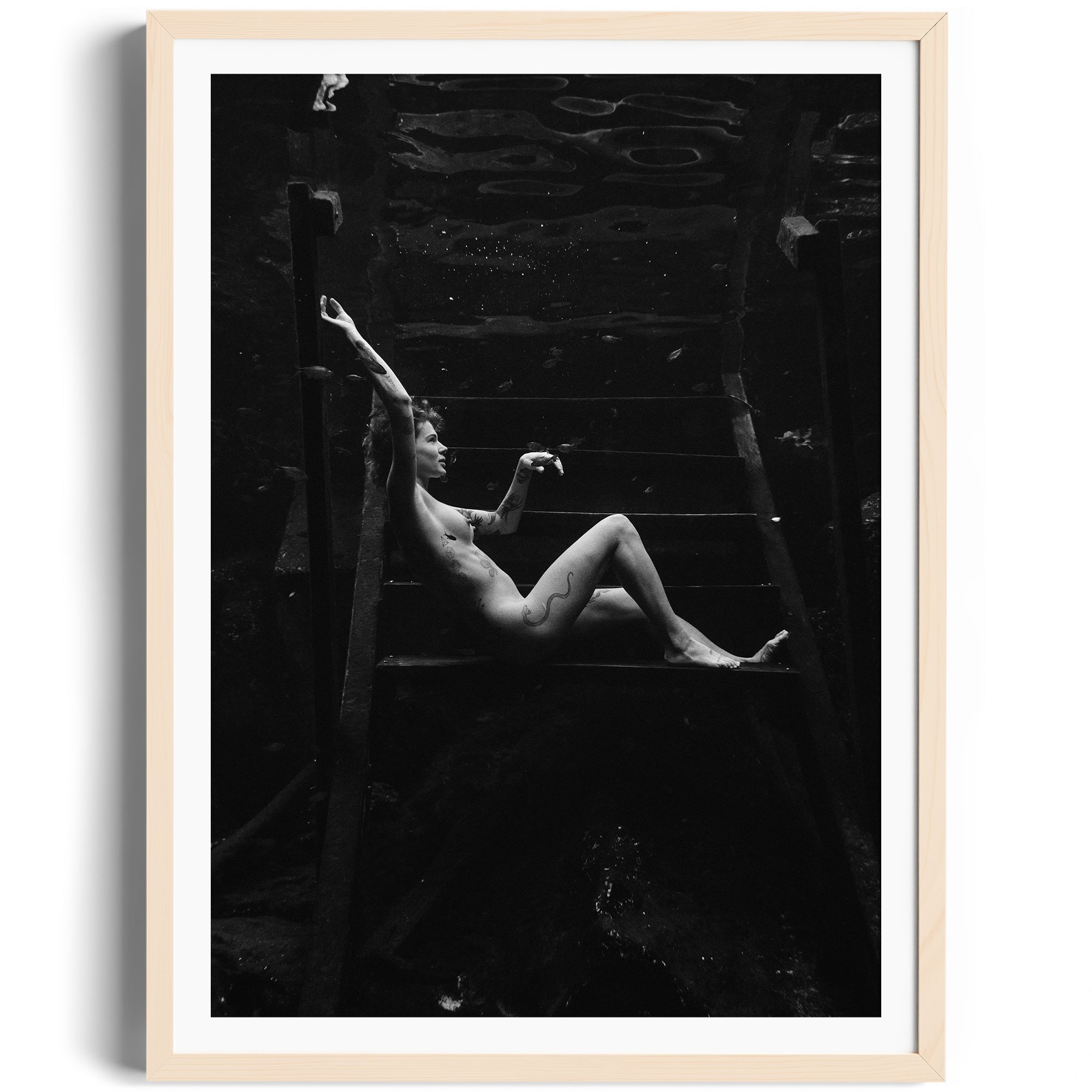 Noir Suspension - DANA GALLERYMario AlzateDANA GALLERYDANA GALLERYMario Alzate