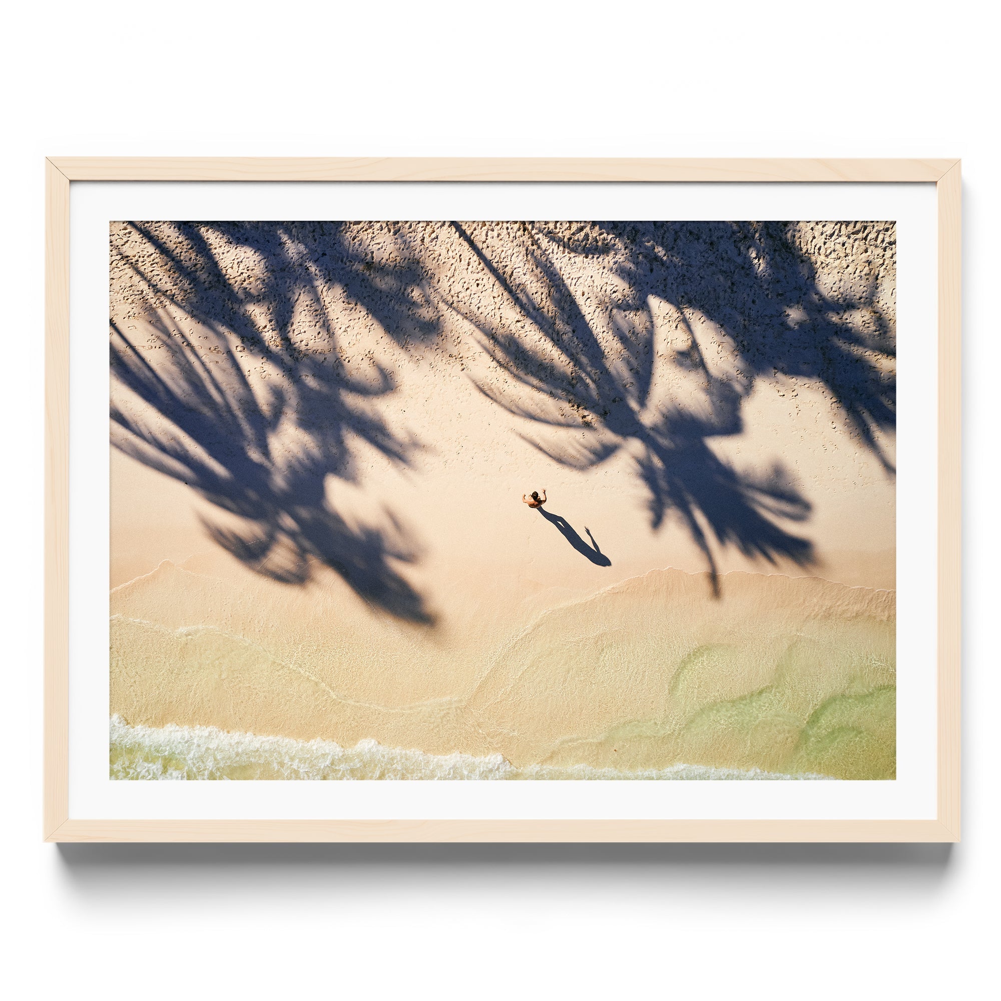 Palm Shadows - DANA GALLERYMario AlzateDANA GALLERYDANA GALLERYMario Alzate