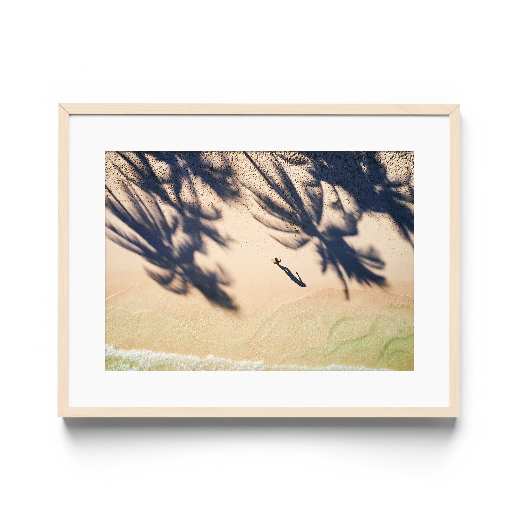 Palm Shadows - DANA GALLERYMario AlzateDANA GALLERYDANA GALLERYMario Alzate