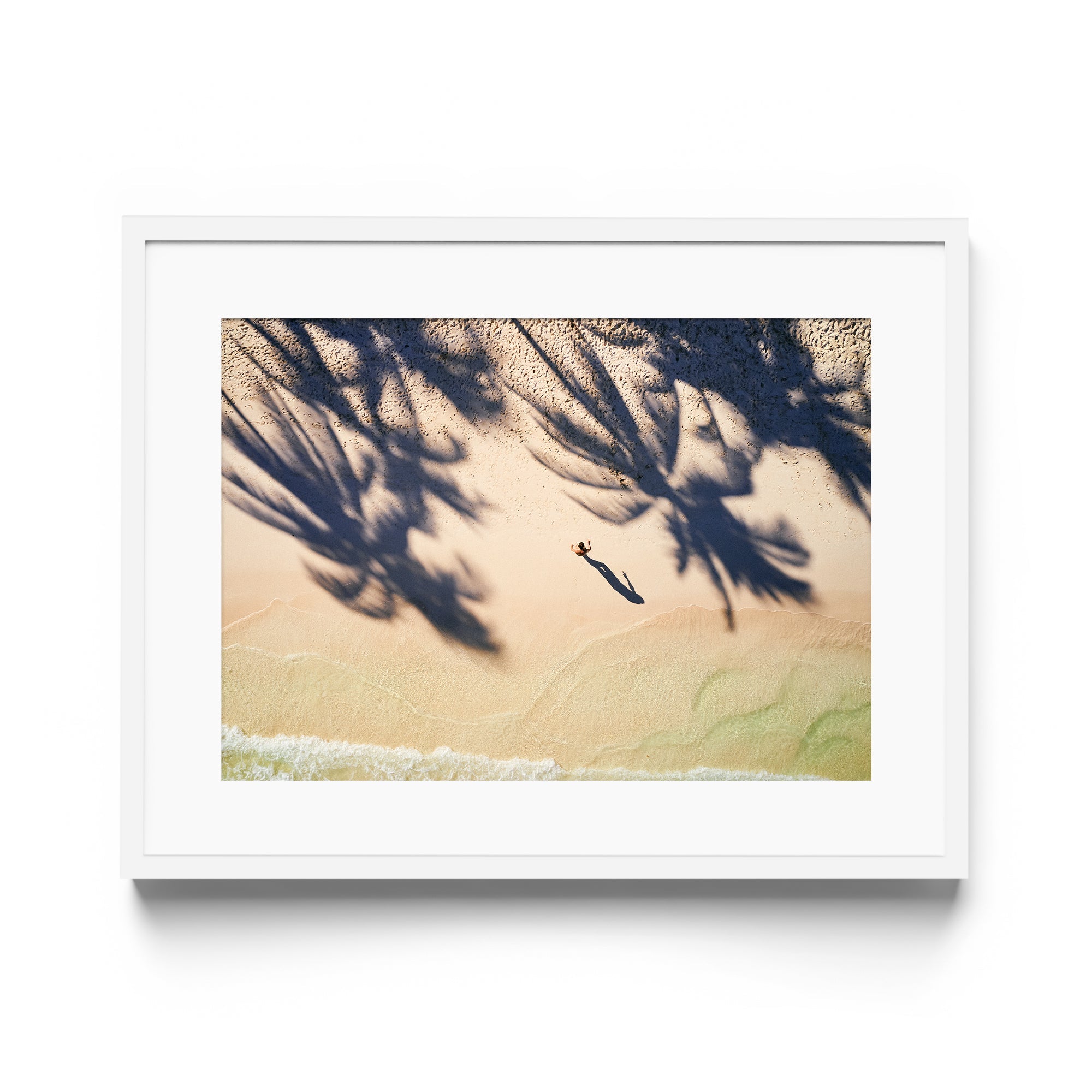 Palm Shadows - DANA GALLERYMario AlzateDANA GALLERYDANA GALLERYMario Alzate