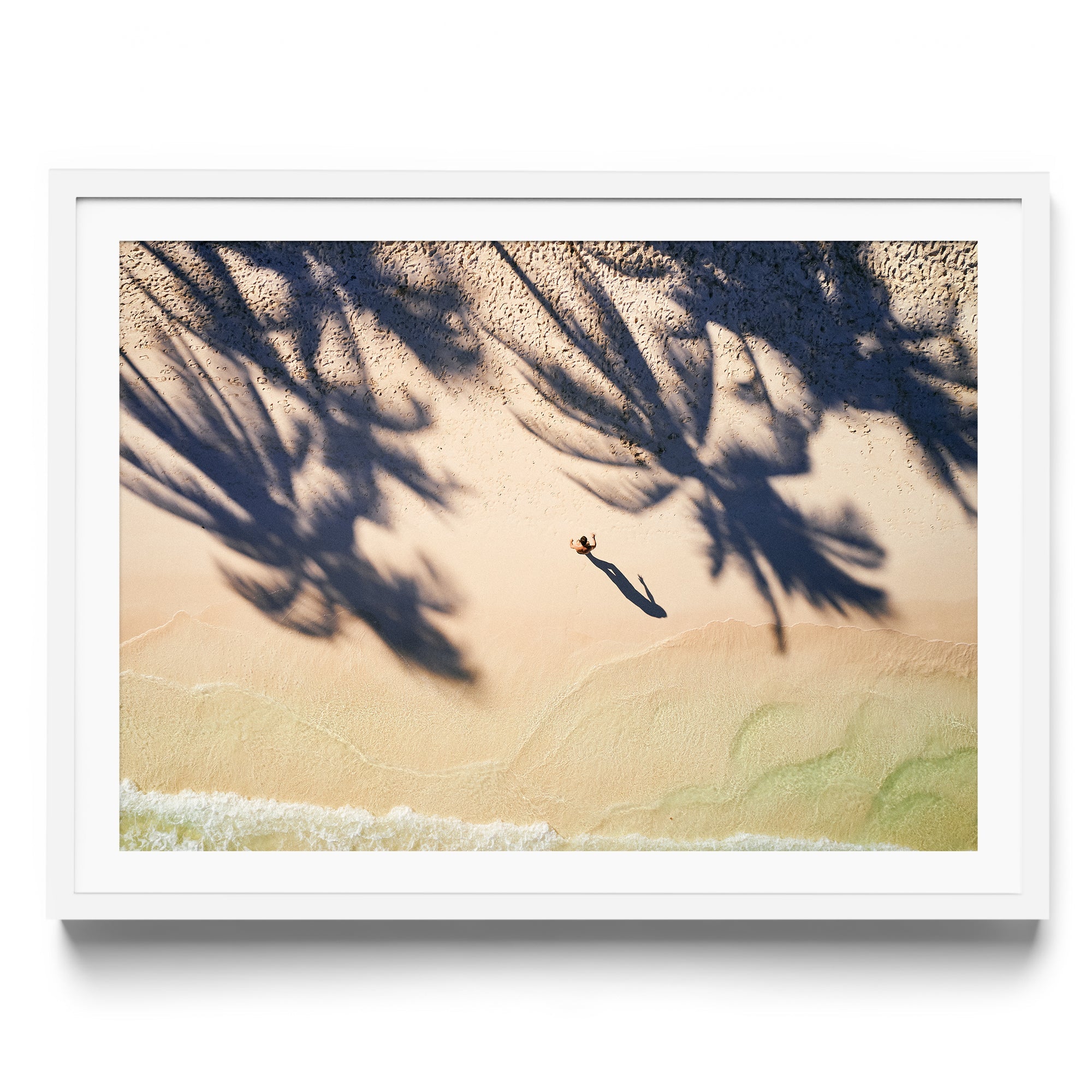 Palm Shadows - DANA GALLERYMario AlzateDANA GALLERYDANA GALLERYMario Alzate