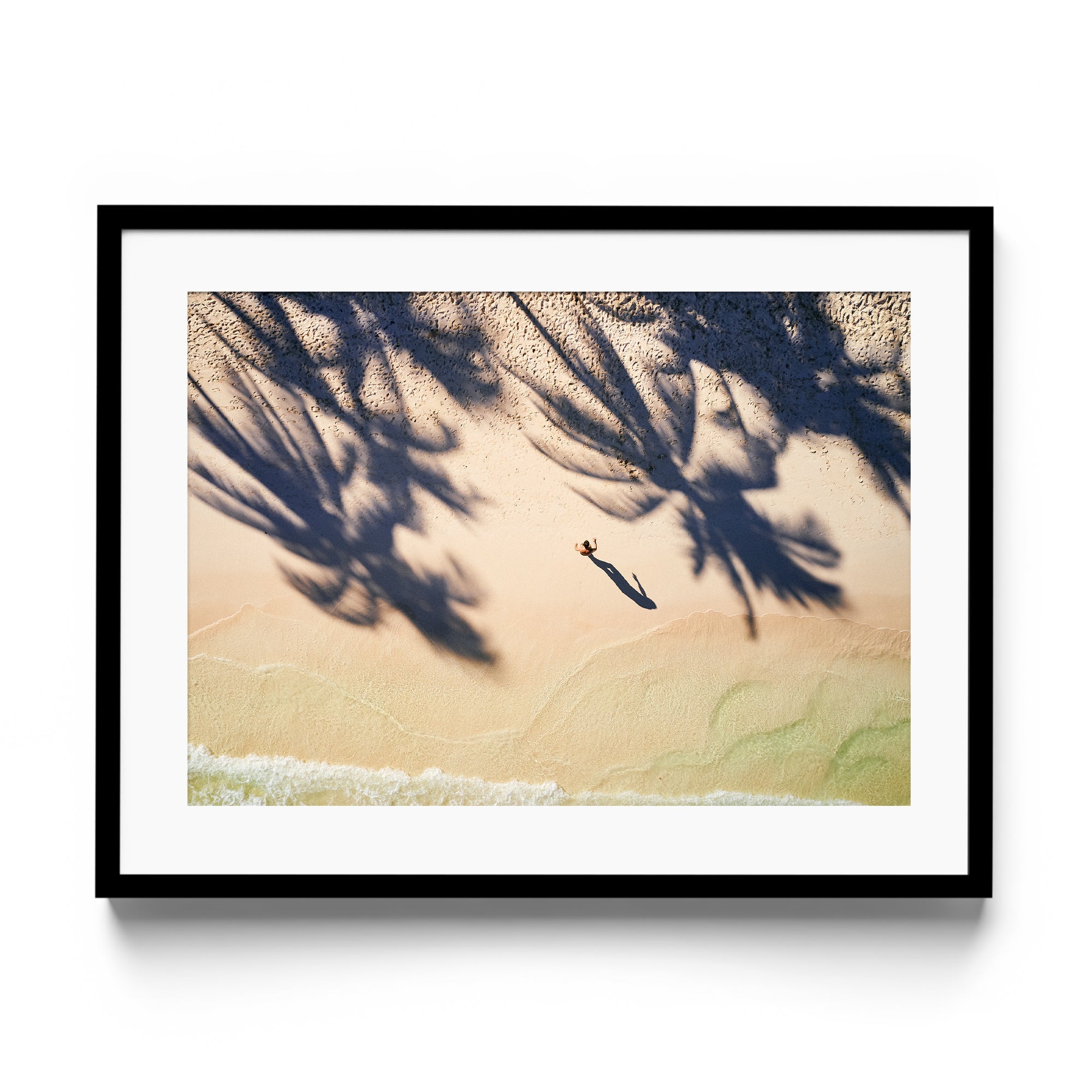 Palm Shadows - DANA GALLERYMario AlzateDANA GALLERYDANA GALLERYMario Alzate