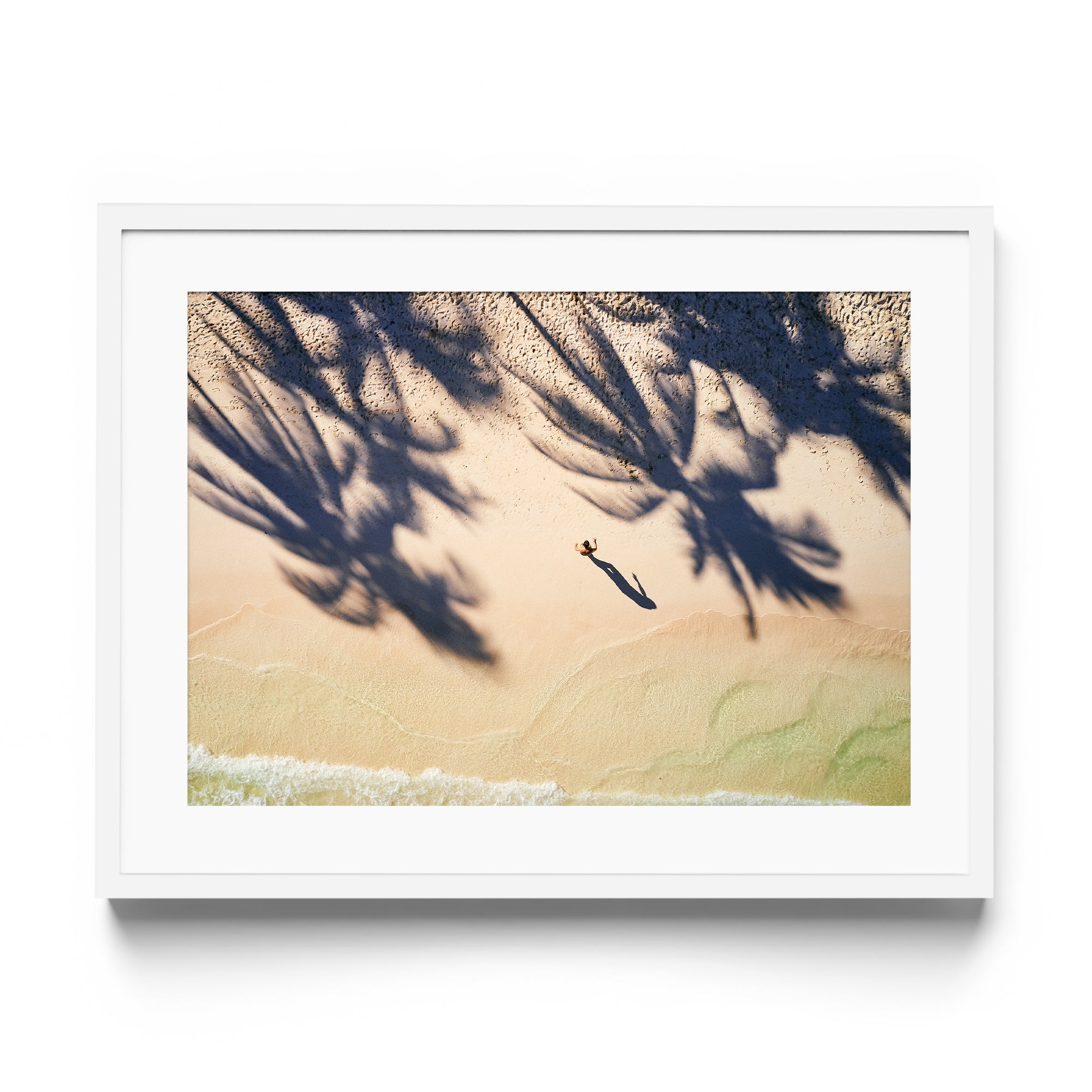 Palm Shadows - DANA GALLERYMario AlzateDANA GALLERYDANA GALLERYMario Alzate