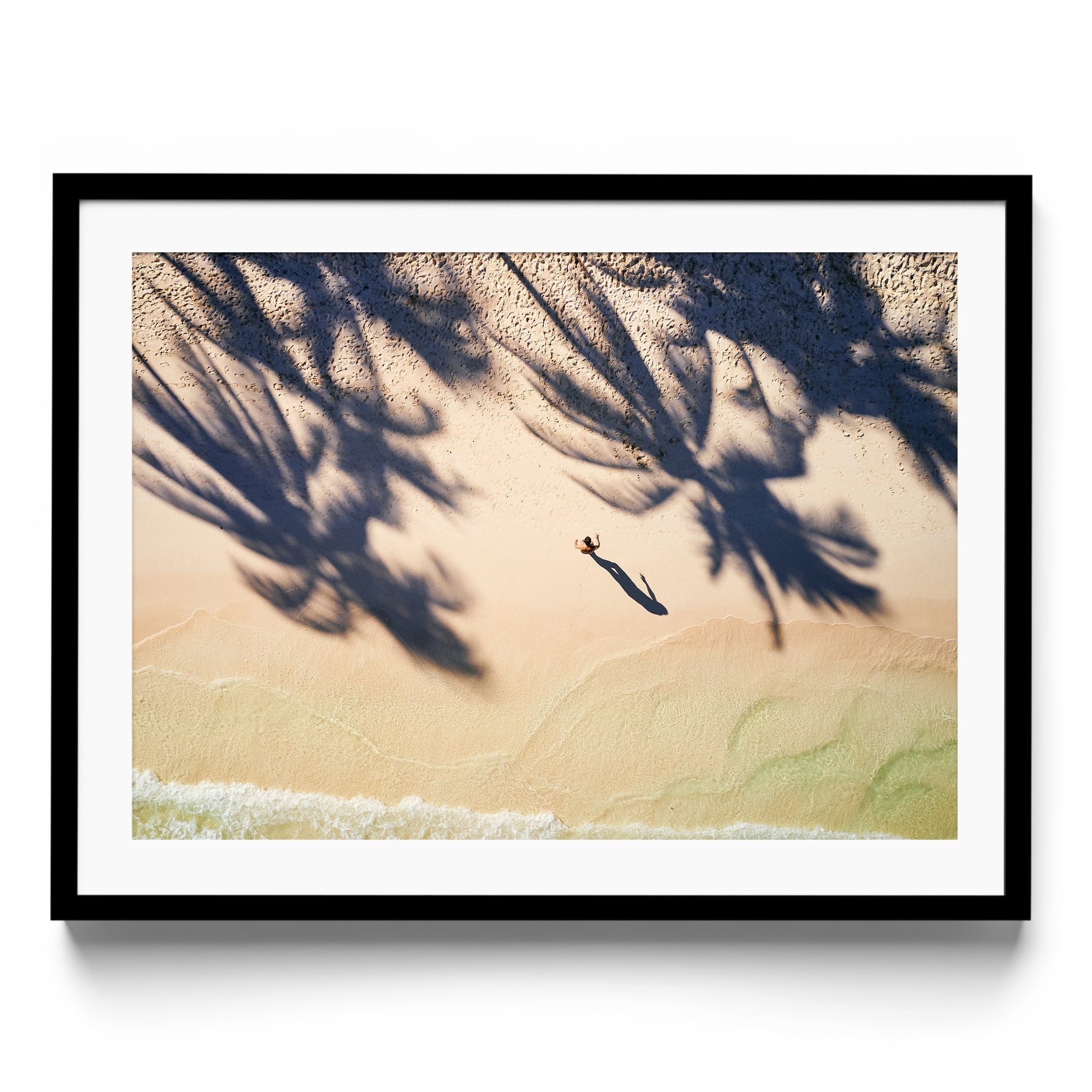 Palm Shadows - DANA GALLERYMario AlzateDANA GALLERYDANA GALLERYMario Alzate