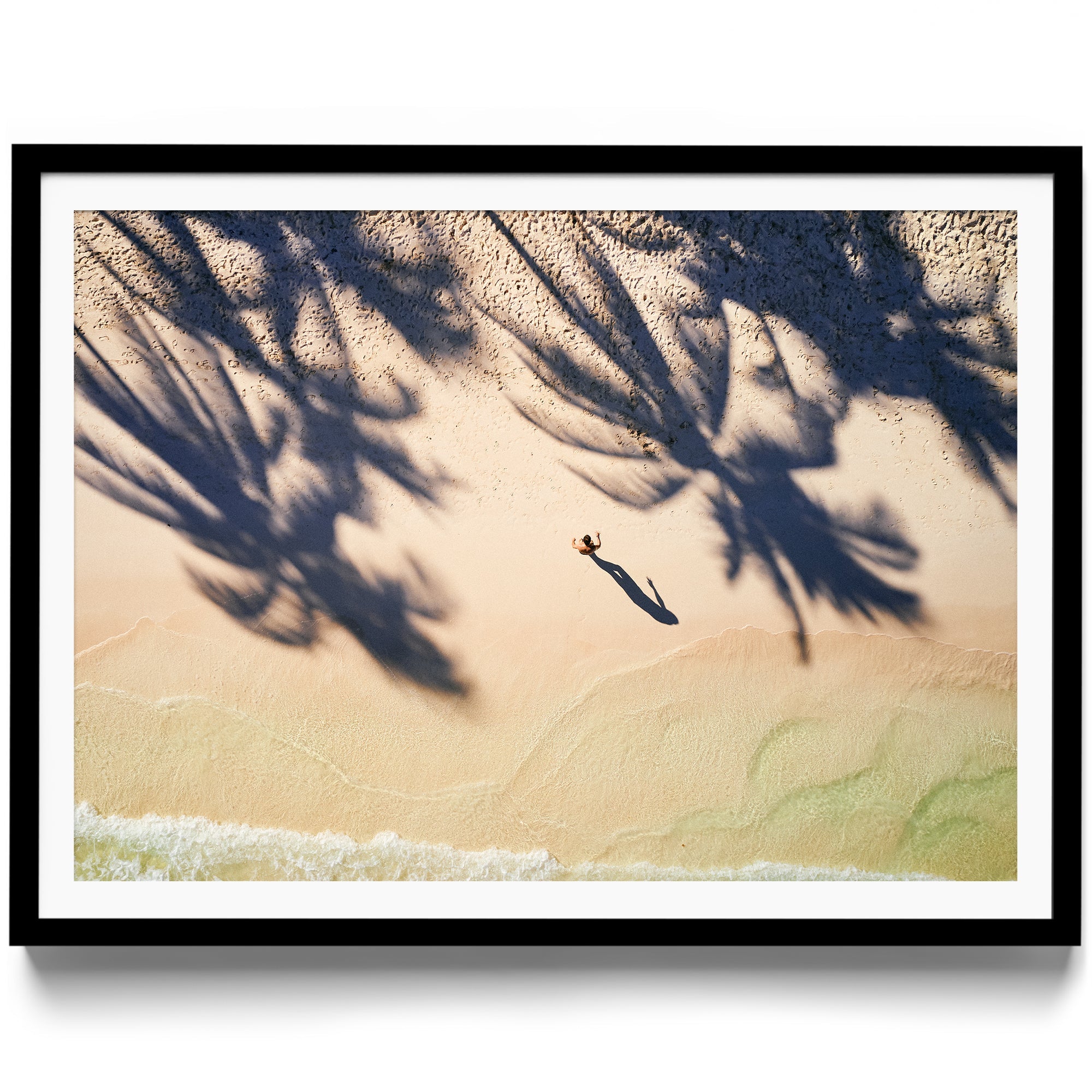 Palm Shadows - DANA GALLERYMario AlzateDANA GALLERYDANA GALLERYMario Alzate