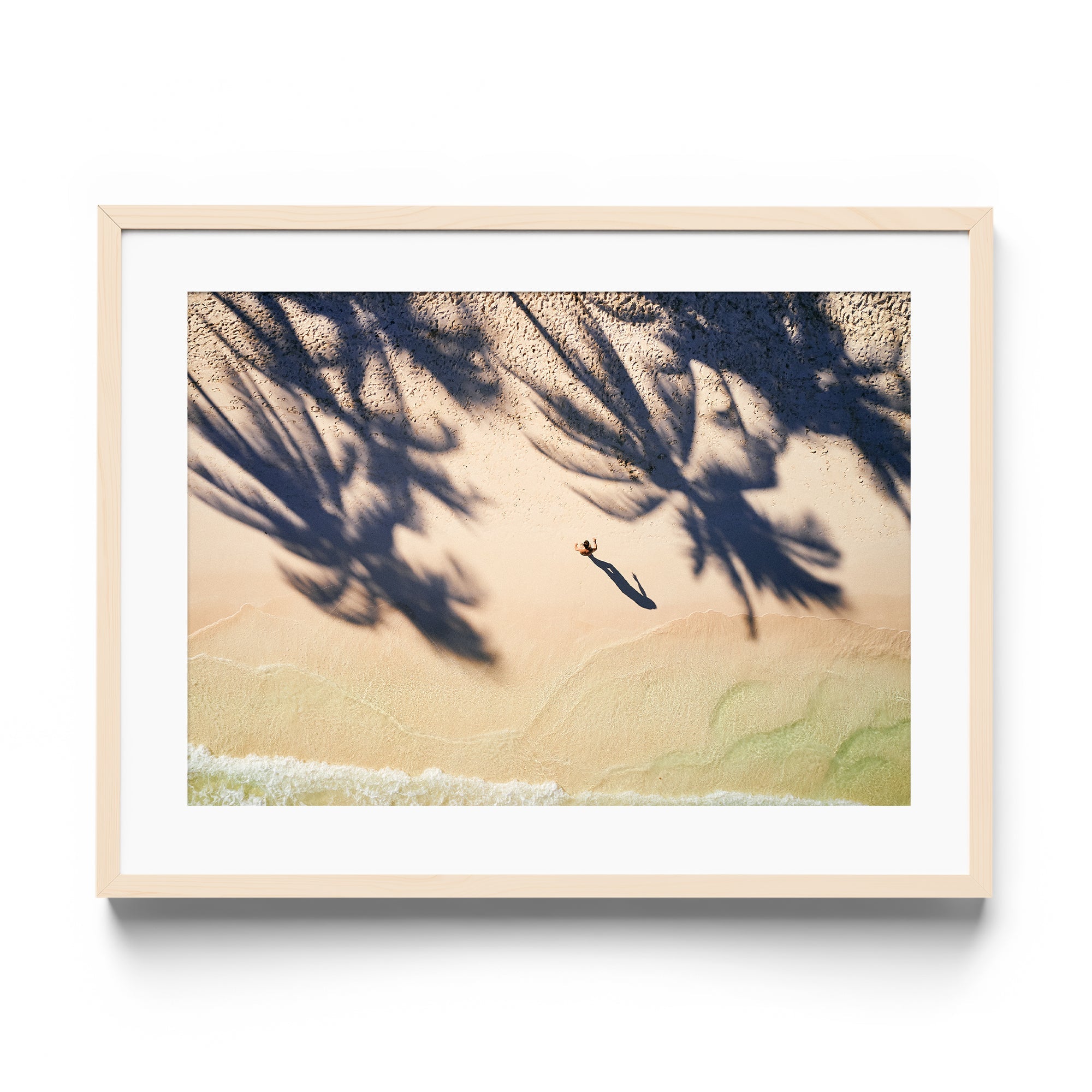Palm Shadows - DANA GALLERYMario AlzateDANA GALLERYDANA GALLERYMario Alzate
