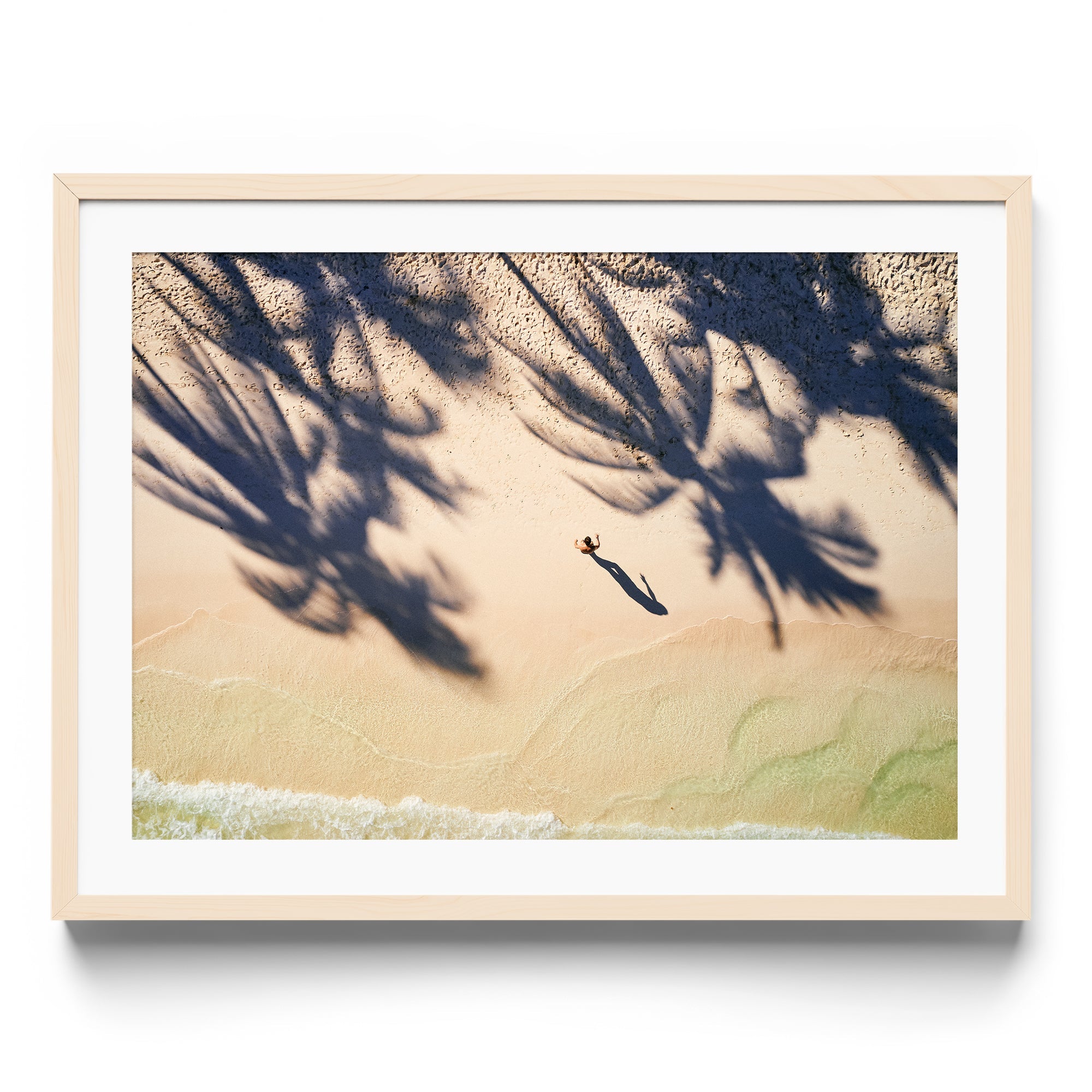 Palm Shadows - DANA GALLERYMario AlzateDANA GALLERYDANA GALLERYMario Alzate