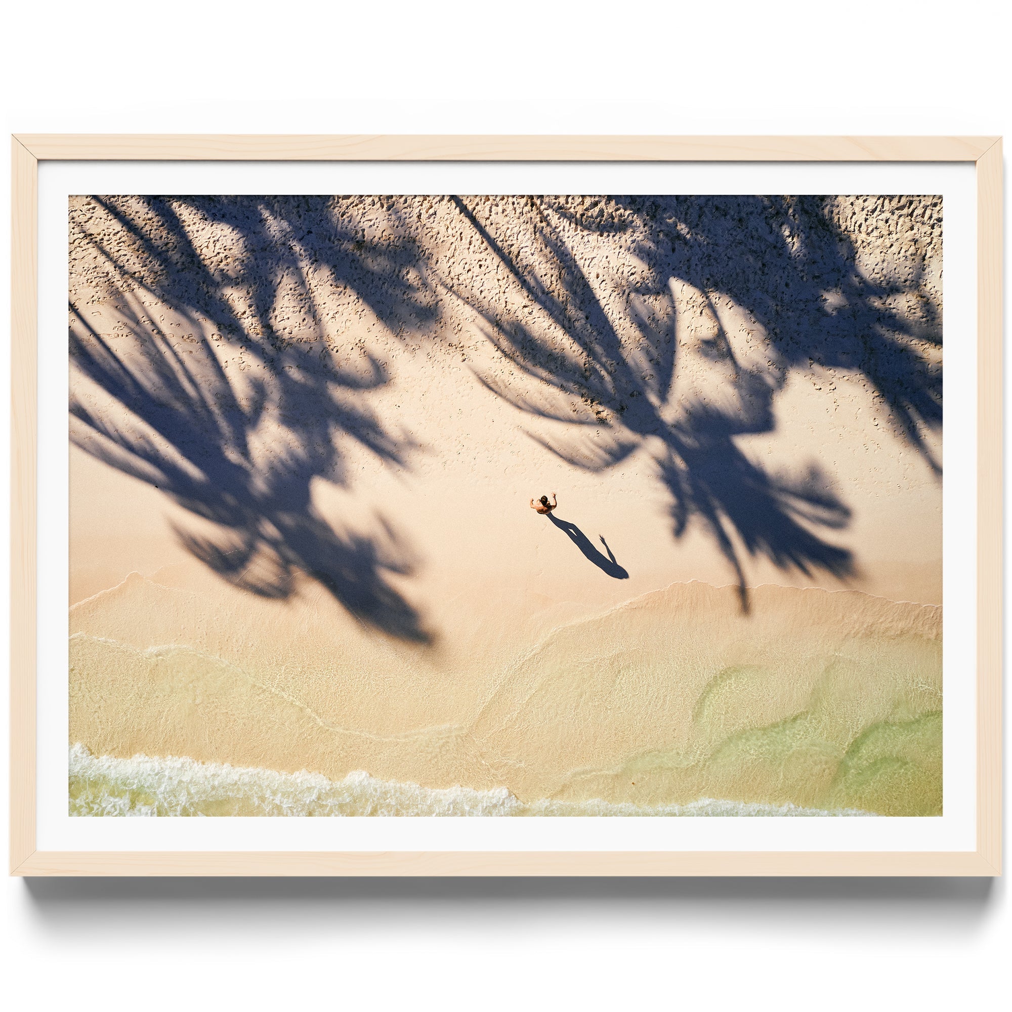 Palm Shadows - DANA GALLERYMario AlzateDANA GALLERYDANA GALLERYMario Alzate