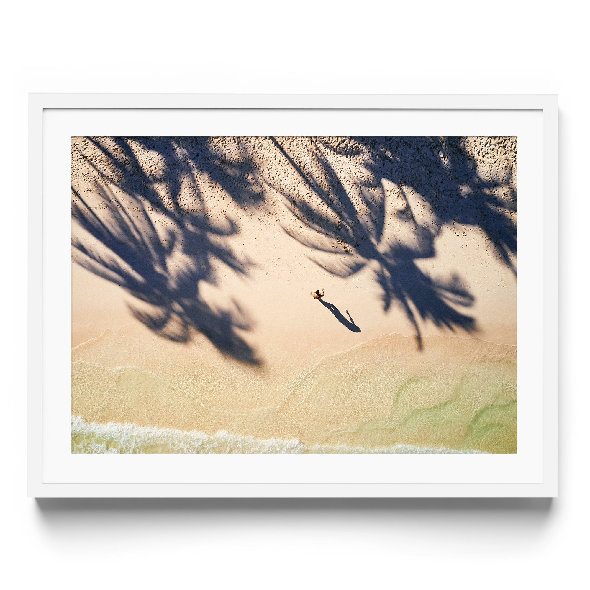 Palm Shadows - DANA GALLERYMario AlzateDANA GALLERYDANA GALLERYMario Alzate