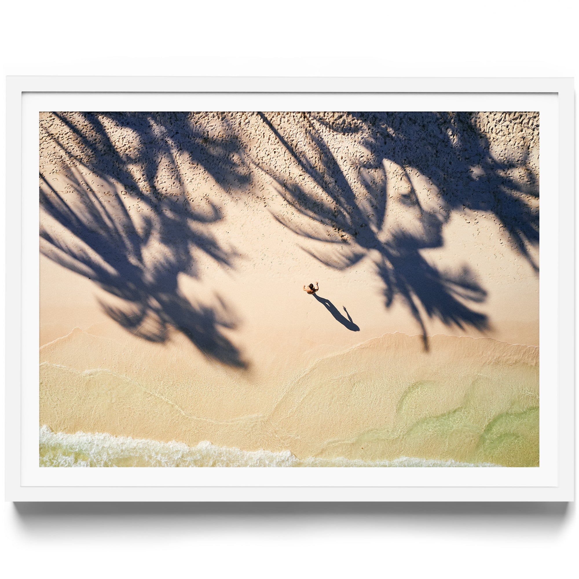 Palm Shadows - DANA GALLERYMario AlzateDANA GALLERYDANA GALLERYMario Alzate
