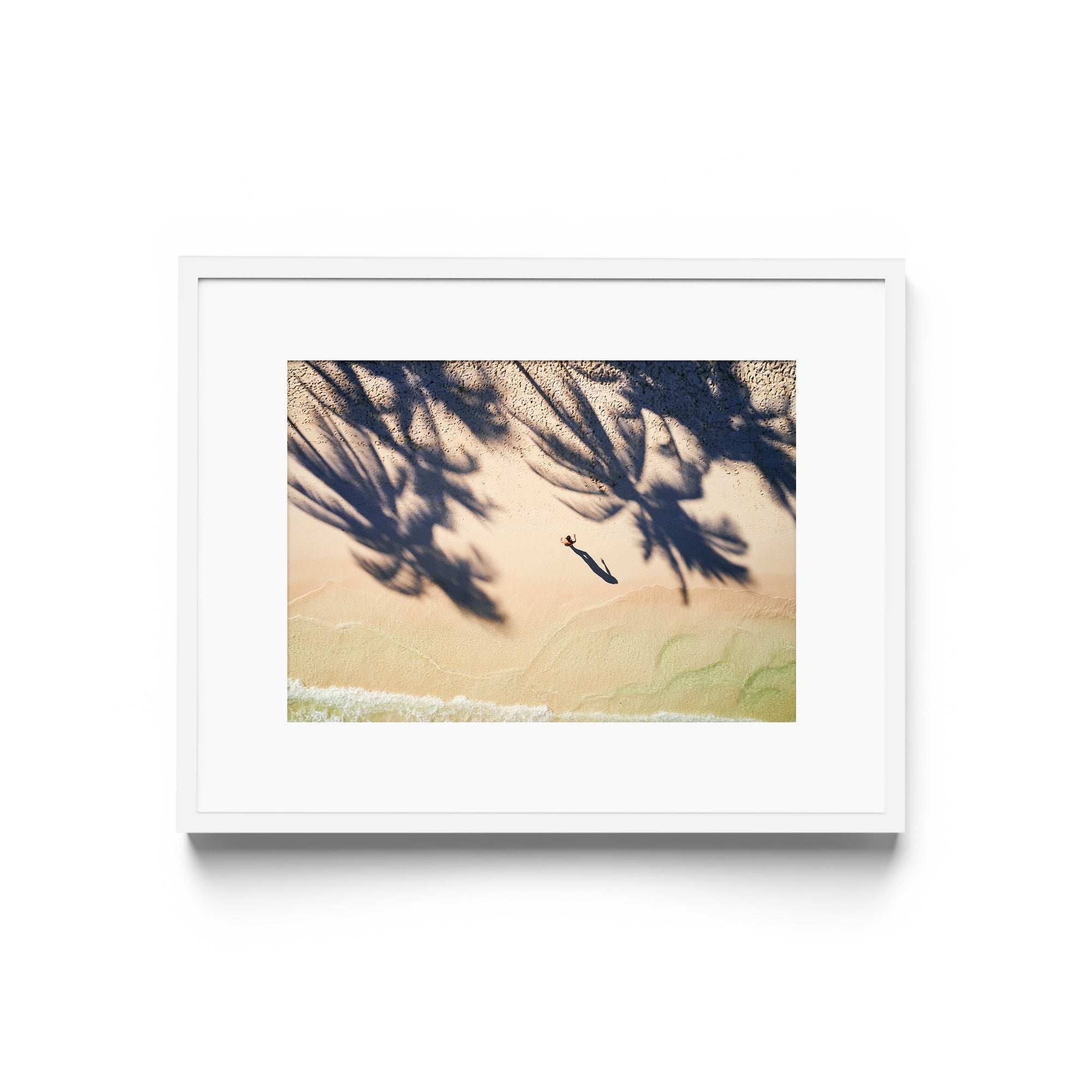 Palm Shadows - DANA GALLERYMario AlzateDANA GALLERYDANA GALLERYMario Alzate