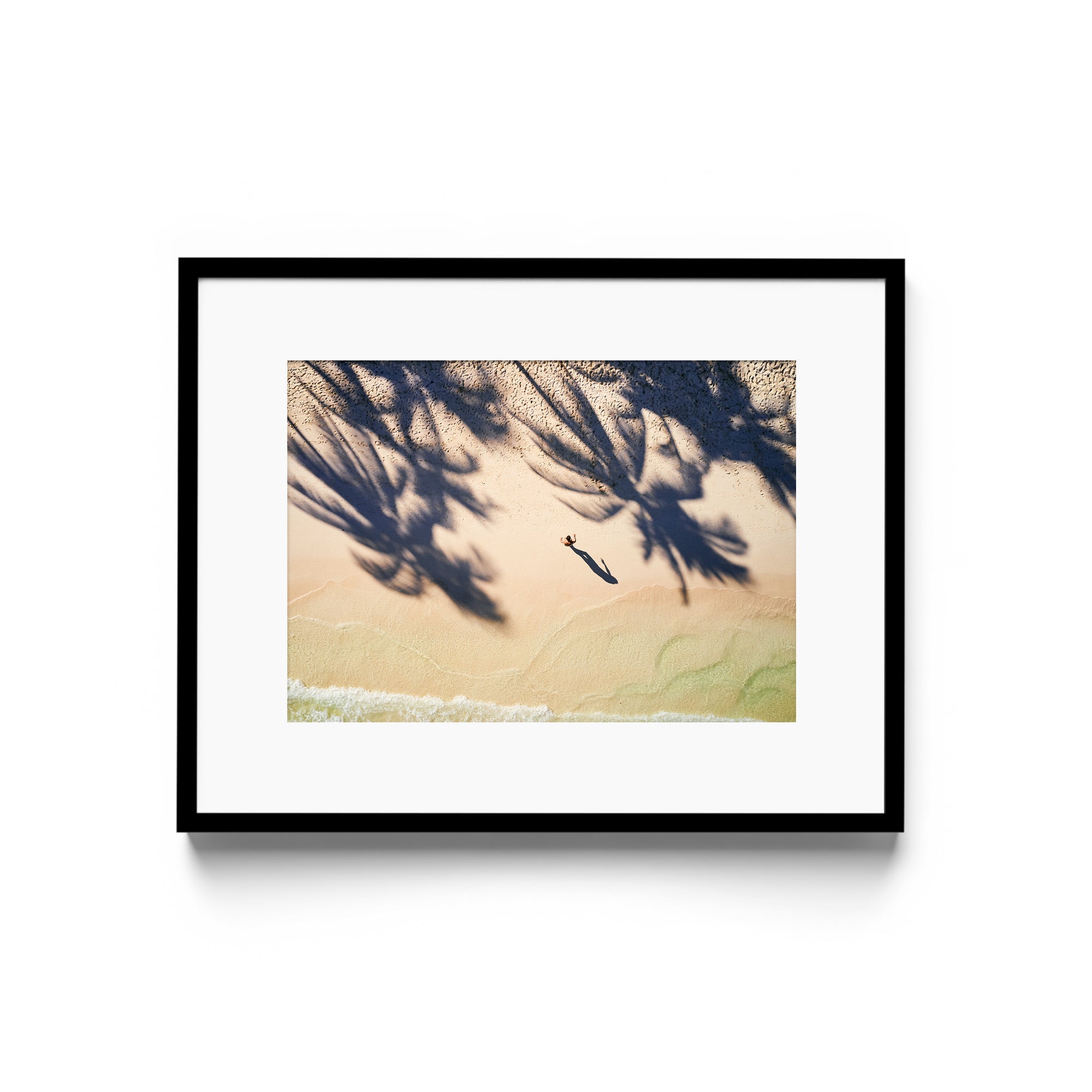 Palm Shadows - DANA GALLERYMario AlzateDANA GALLERYDANA GALLERYMario Alzate