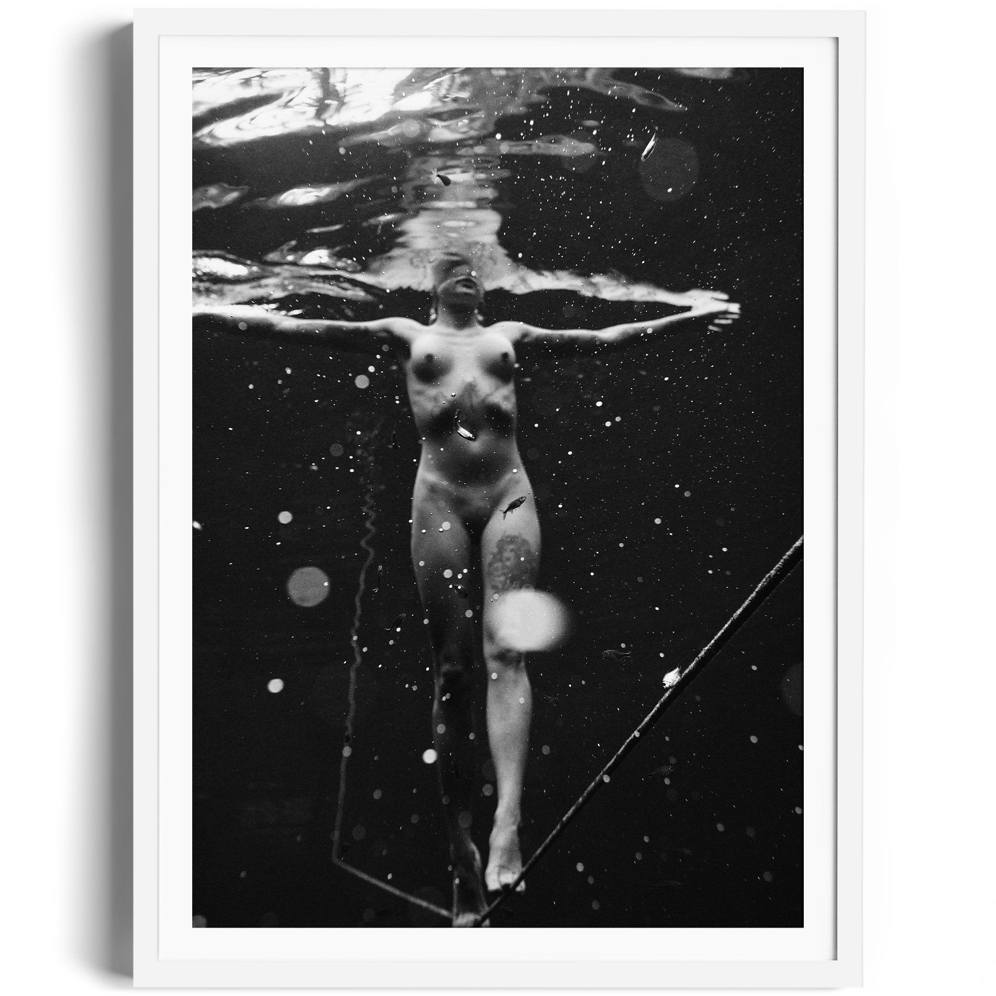 Riflessi d’Ombra - DANA GALLERYMario AlzateDANA GALLERYDANA GALLERYMario Alzate