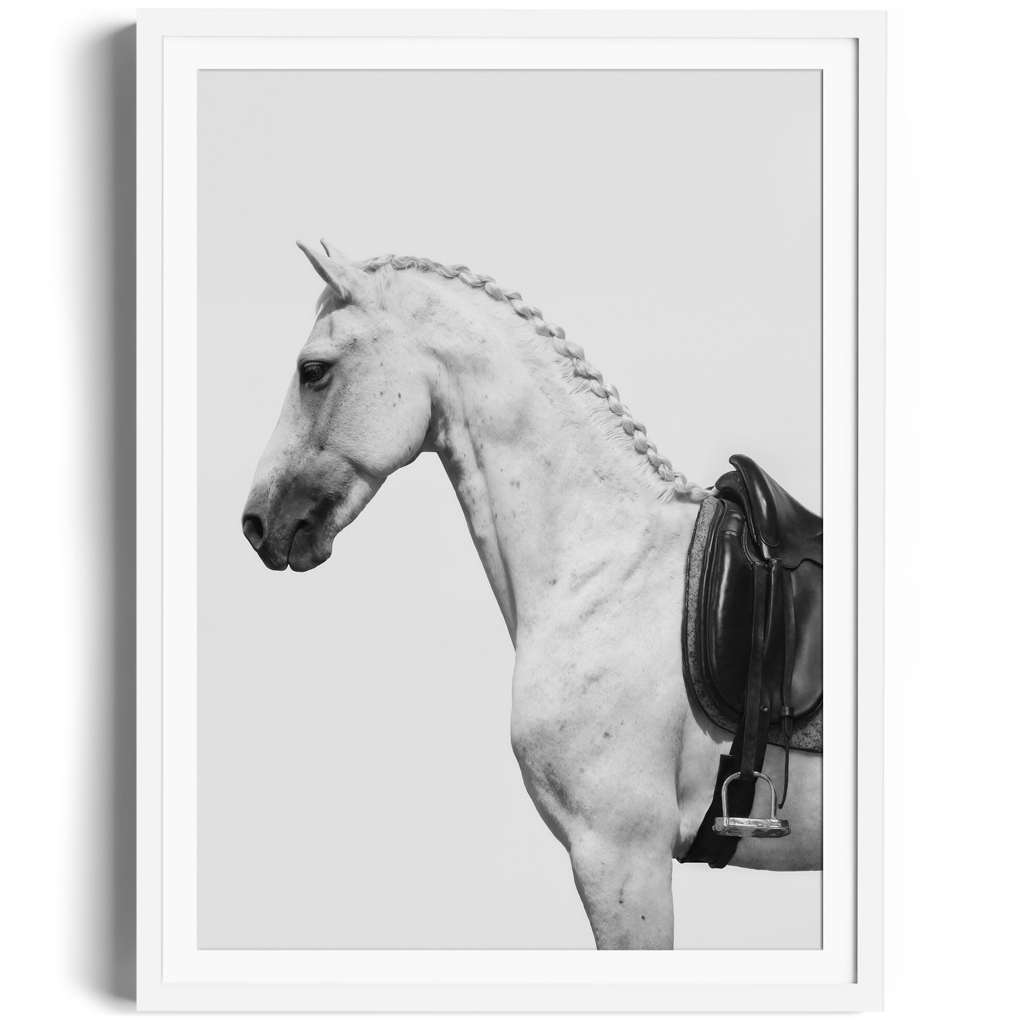 Monochrome print of a dappled grey horse with an English saddle, celebrating equestrian elegance and craftsmanship. Print fine art gallery Miami.