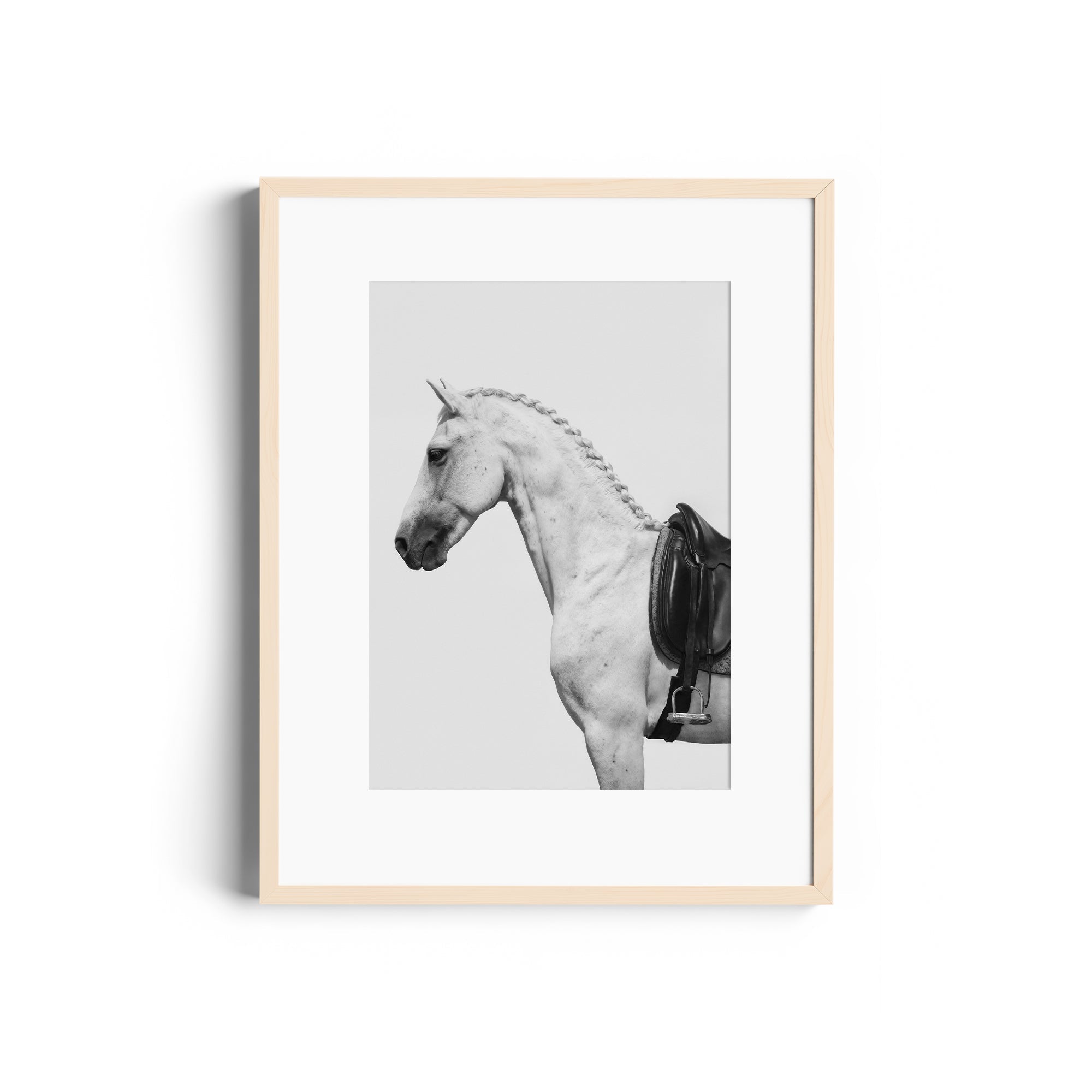 Limited edition fine art print of a grey horse with an English saddle in a monochromatic style, available in Miami gallery.