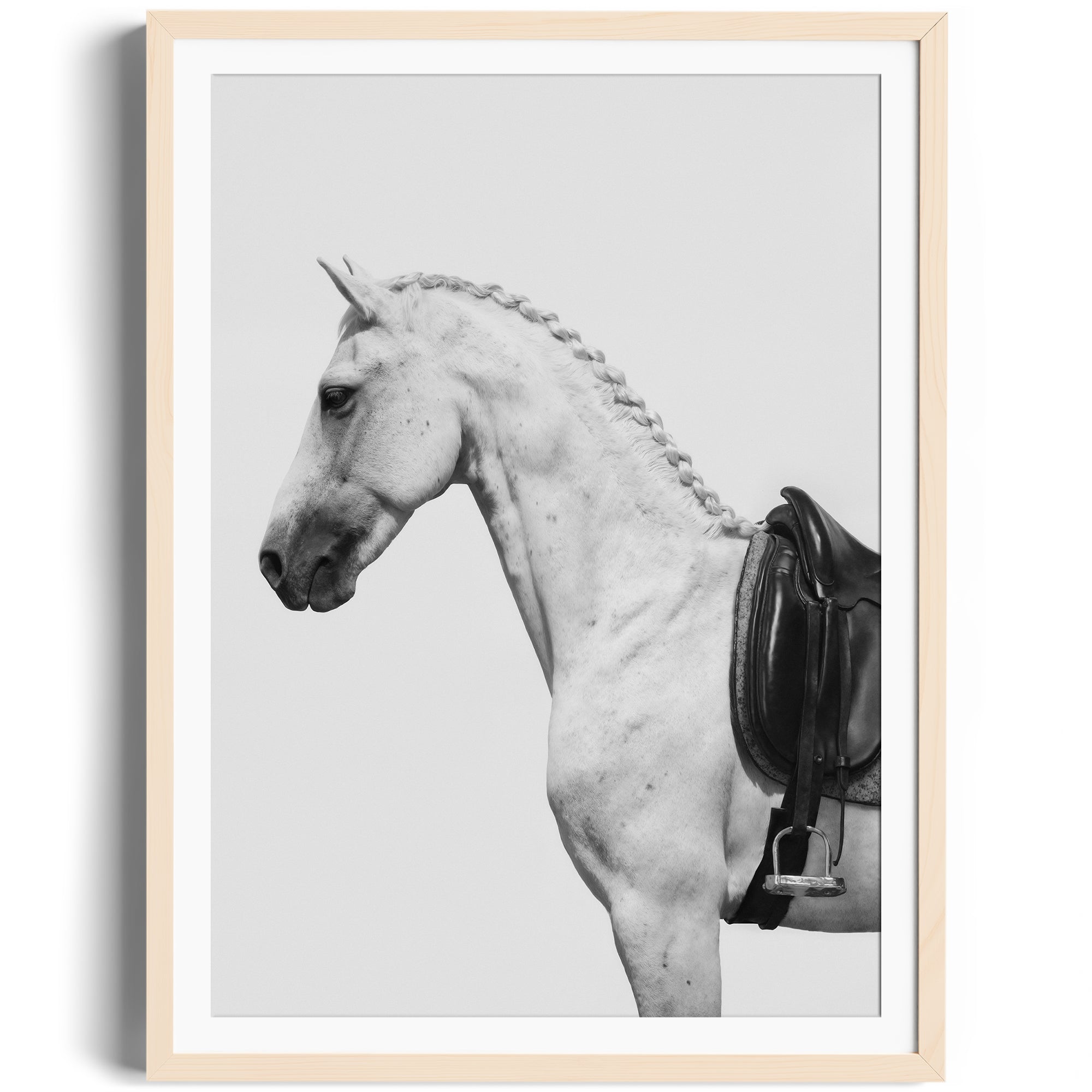 Monochromatic print of a dappled grey horse with an English saddle, by Diego Cadavid, fine art gallery Miami.