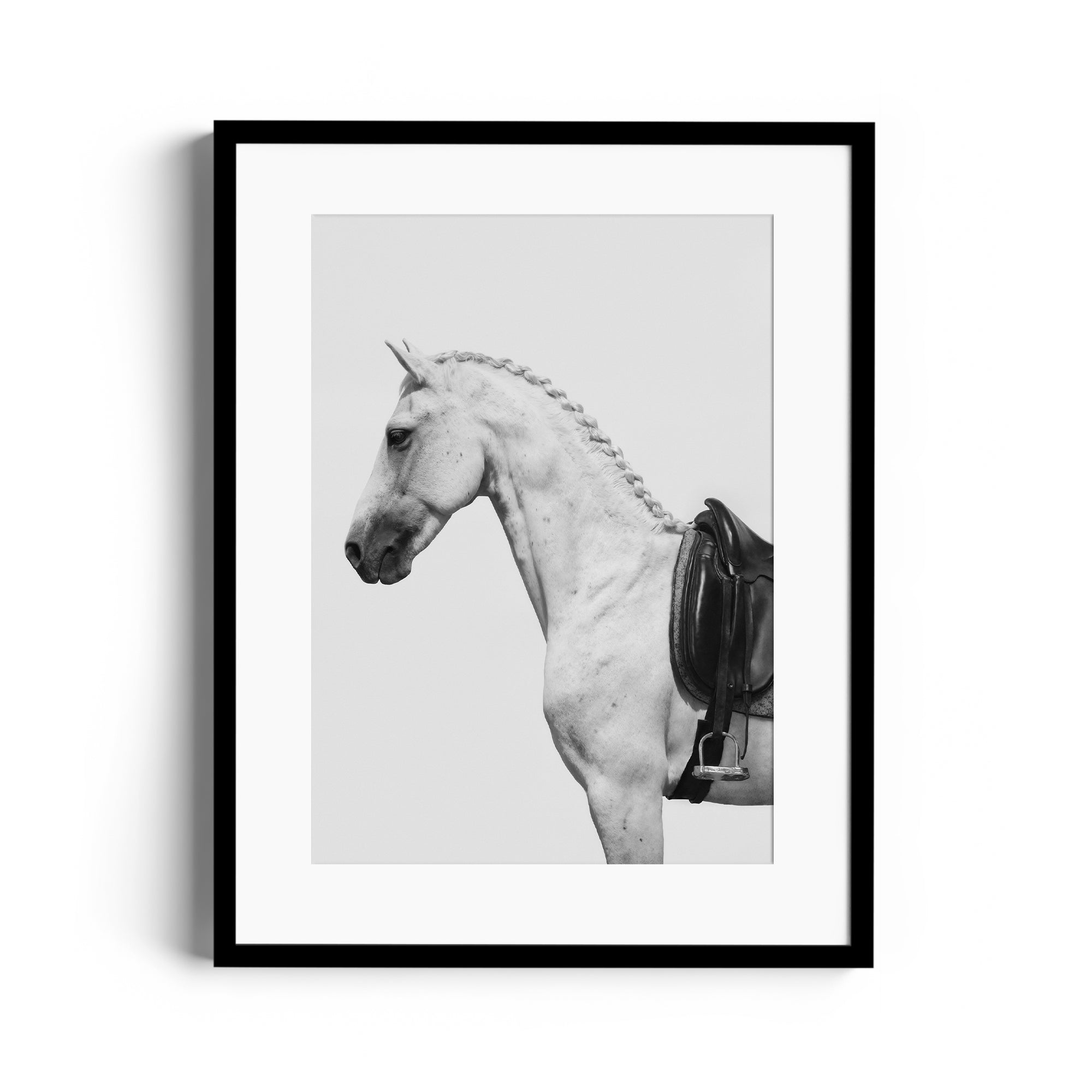 Monochrome fine art print of a dappled grey horse with an English saddle, showcasing equestrian elegance. Print fine art gallery Miami.