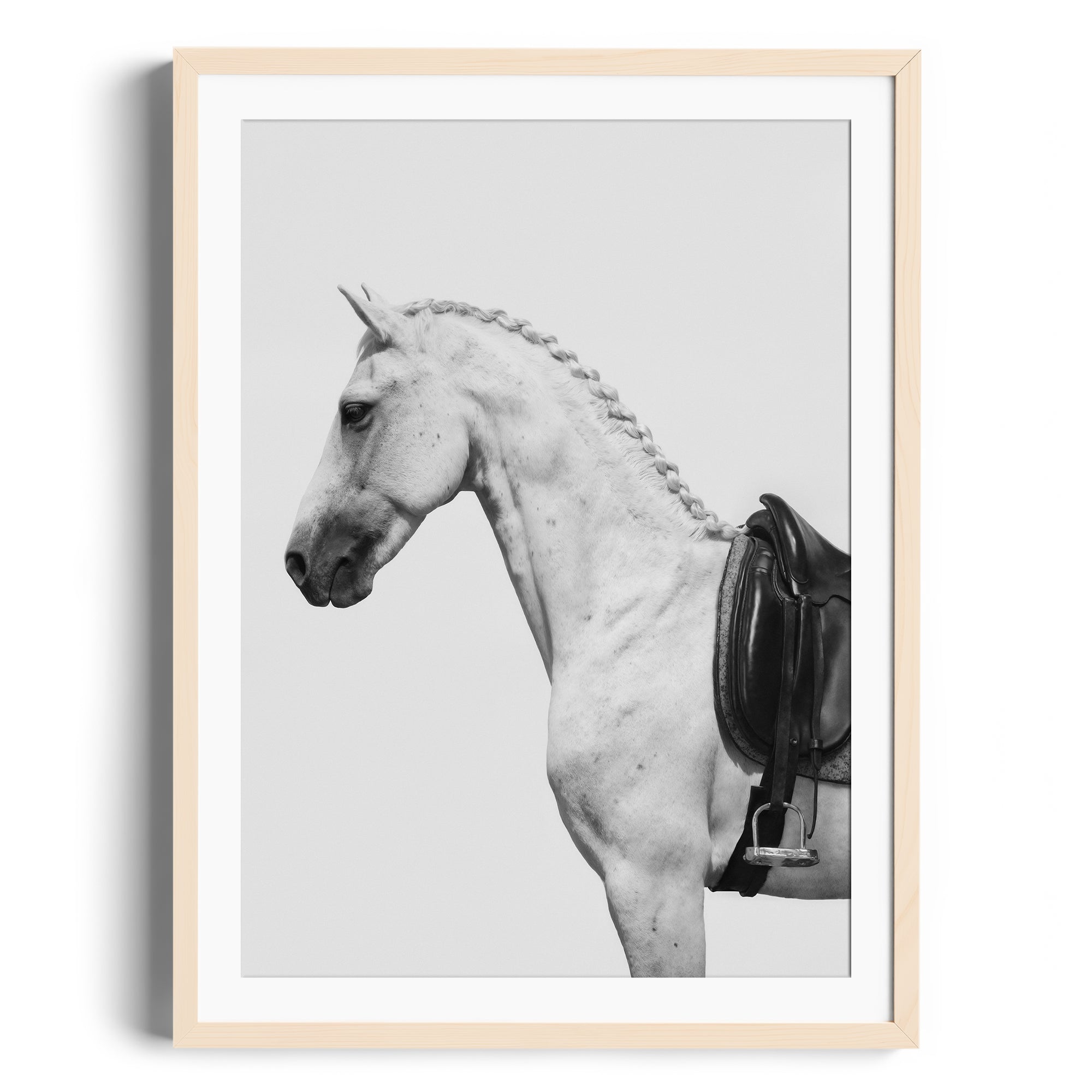 Monochrome art featuring a dappled grey horse with an English saddle, showcasing equestrian elegance. Print fine art gallery Miami.