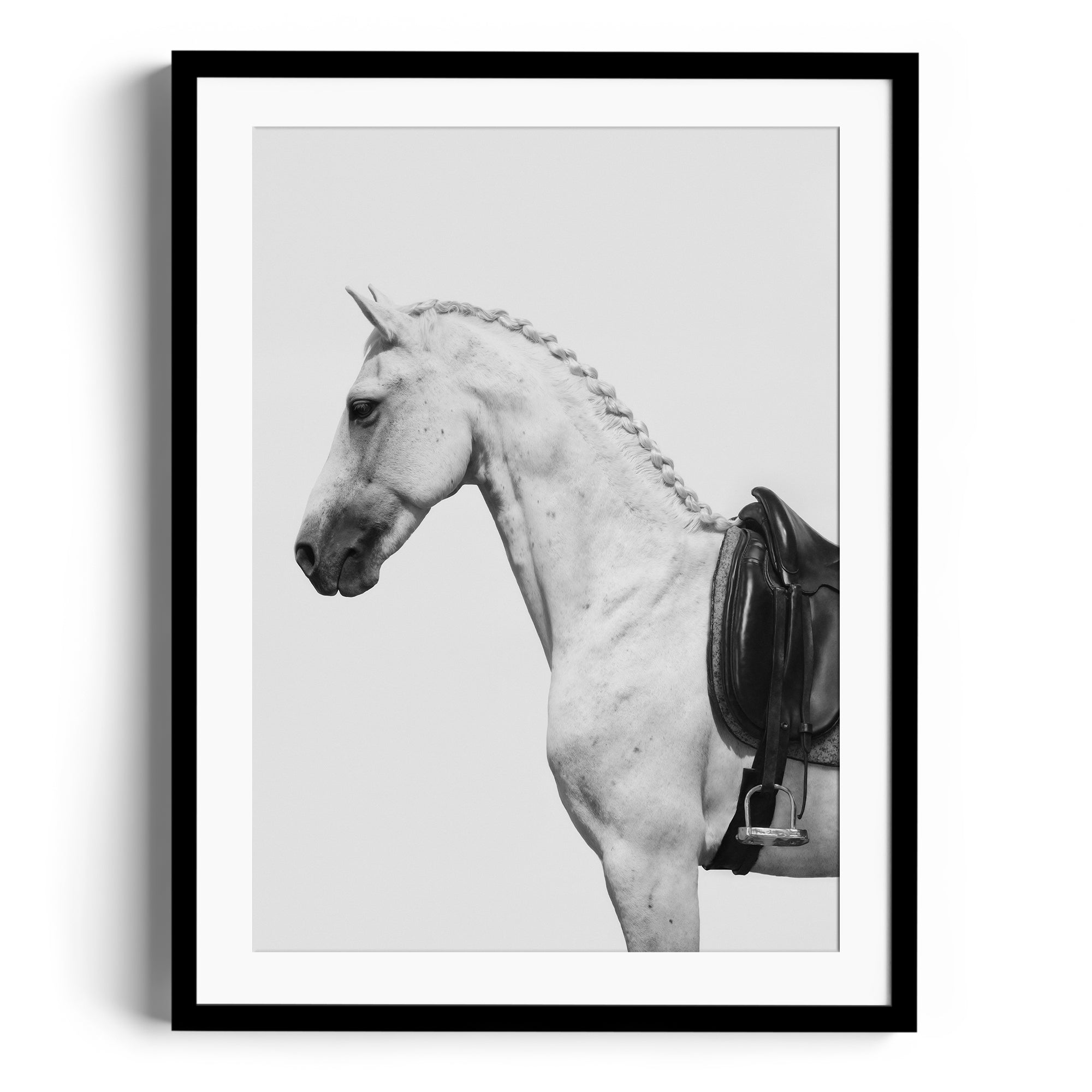 Limited edition fine art print of a dappled grey horse with an English saddle, showcasing equestrian elegance in Miami gallery.