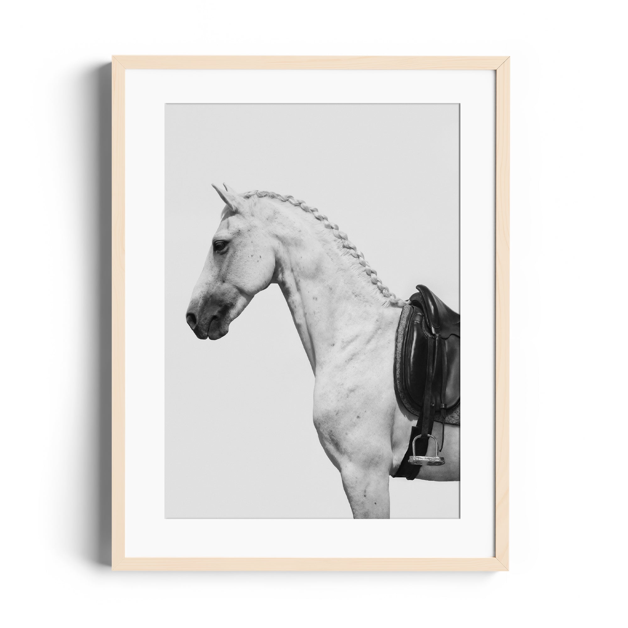 Monochromatic fine art print of a dappled grey horse with an English saddle, showcasing equestrian elegance in Miami gallery.
