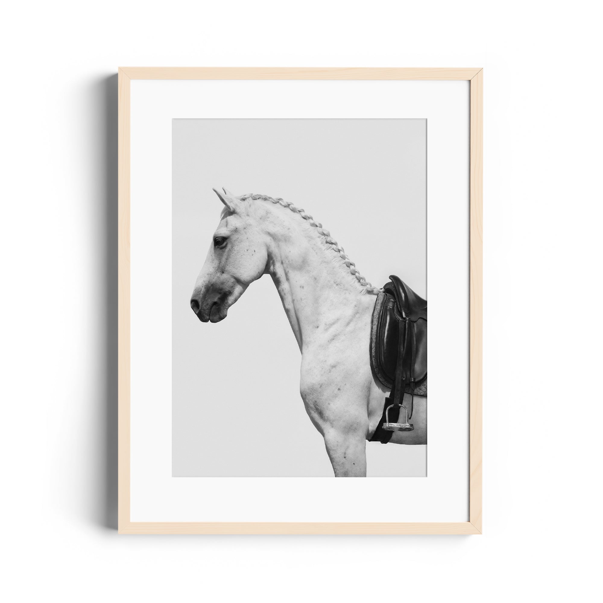 Monochrome print of dappled grey horse with English saddle, highlighting equestrian elegance, available at fine art gallery Miami.