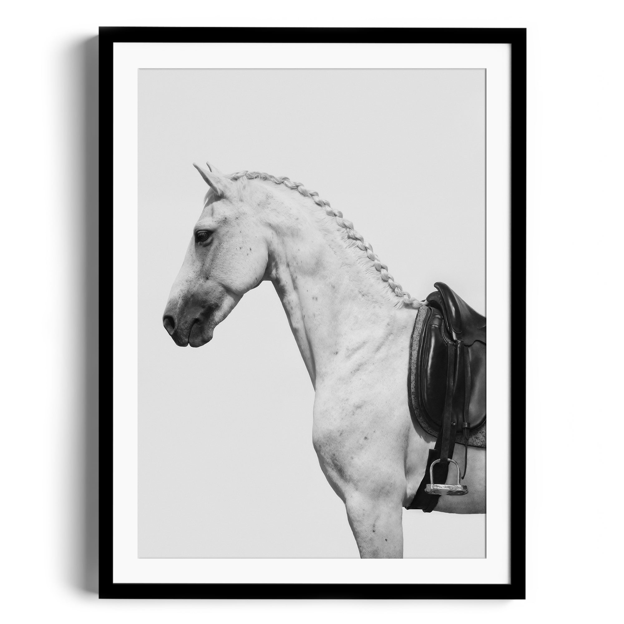 Limited edition print "Shape" by Diego Cadavid featuring a grey horse and English saddle, fine art gallery Miami.
