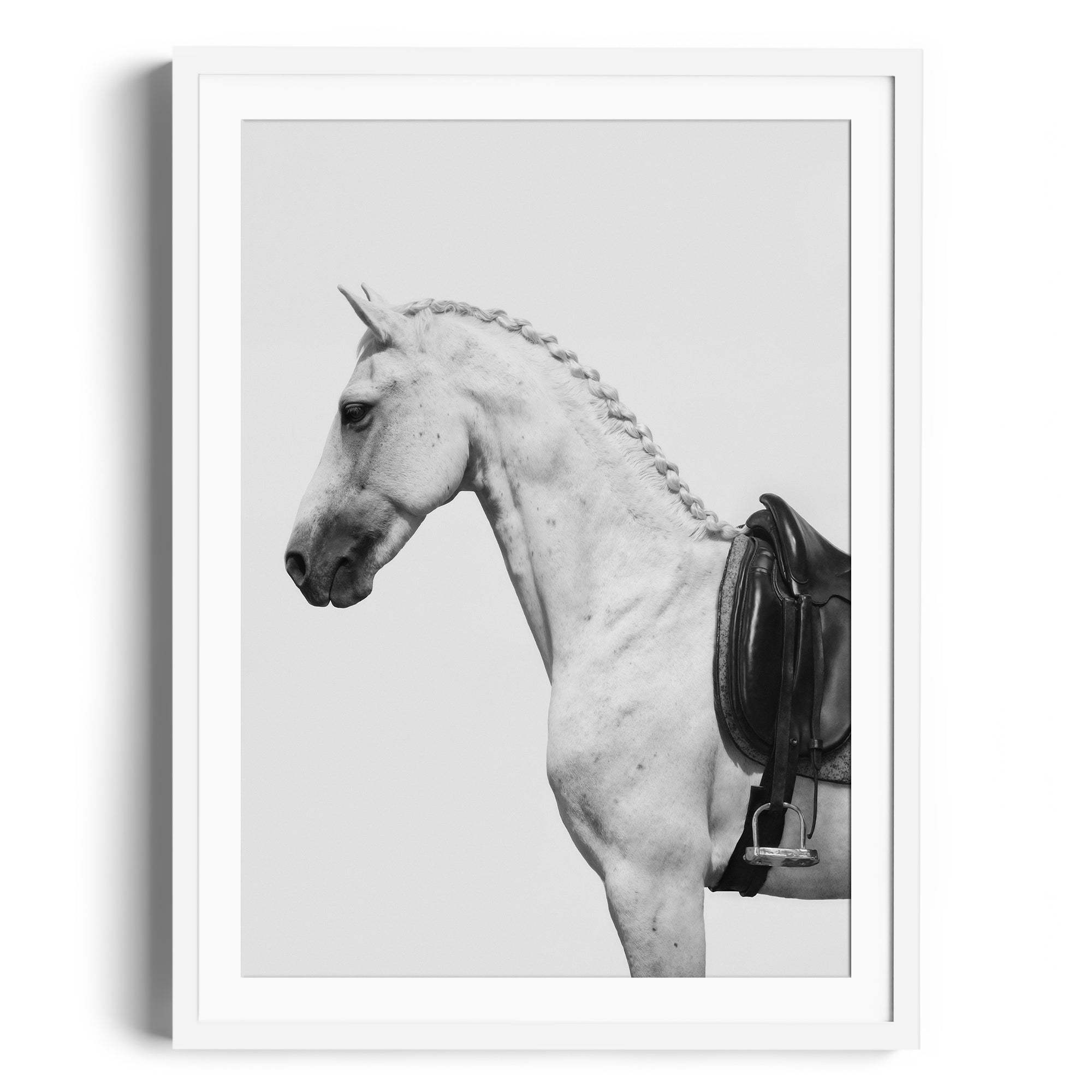 Monochromatic print of a grey horse with an English saddle, highlighting equestrian elegance in fine art gallery Miami.