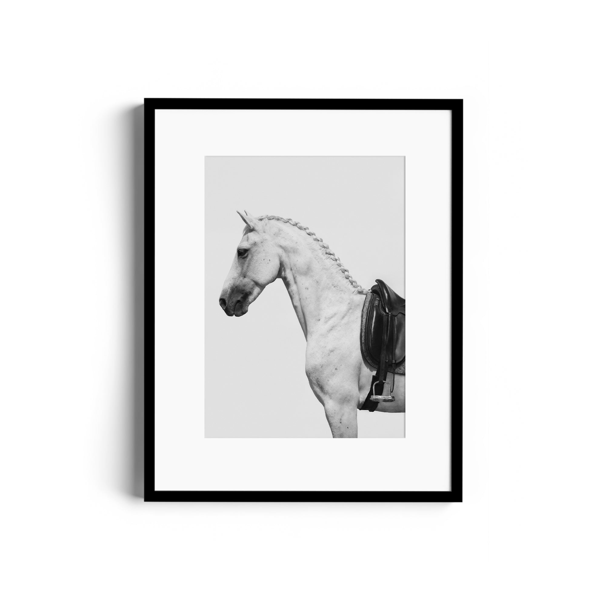 Black and white print of a dappled grey horse with an English saddle, showcasing equestrian elegance and craftsmanship. Art for gallery Miami.