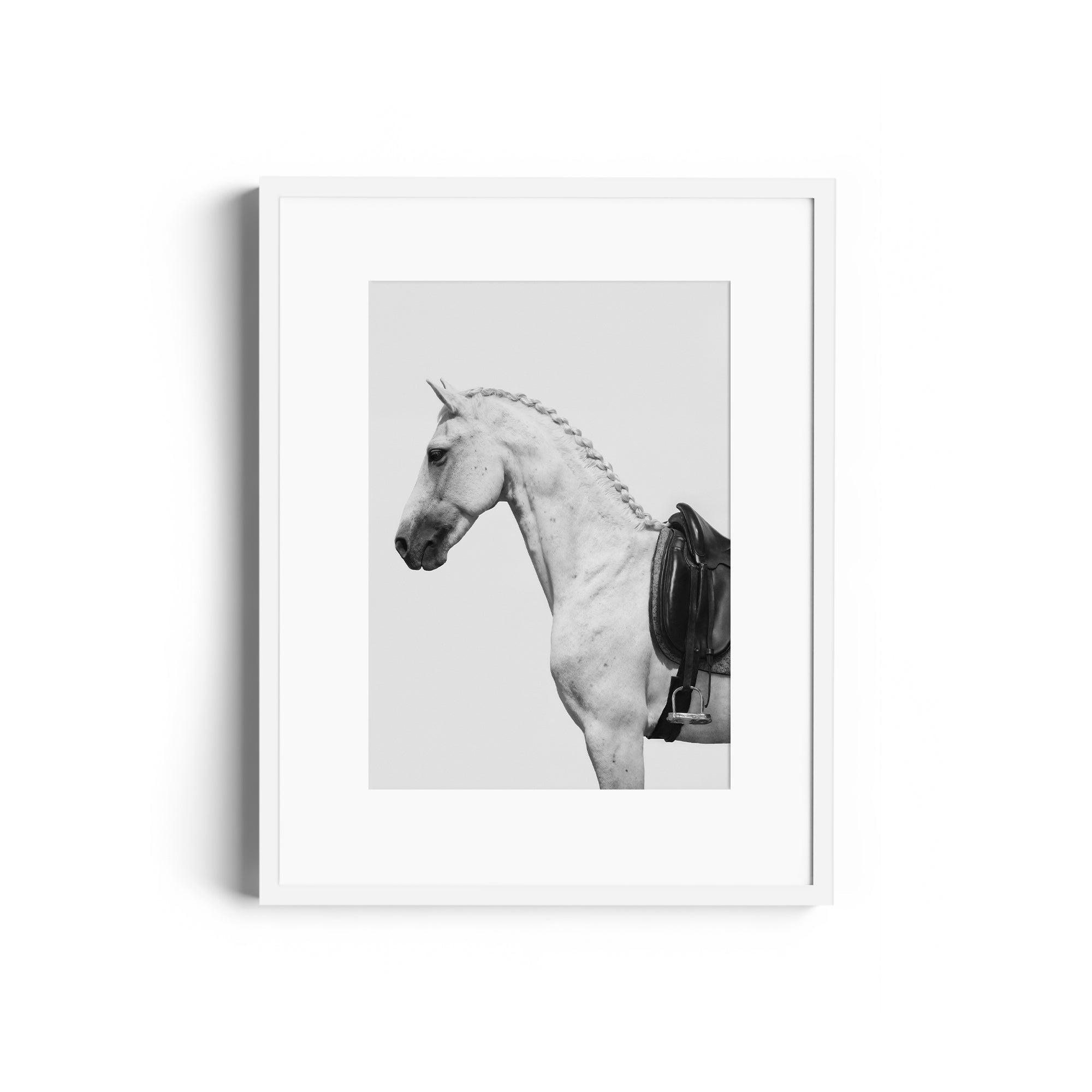 Limited edition fine art print of a dappled grey horse with an English saddle, showcasing equestrian elegance in Miami.