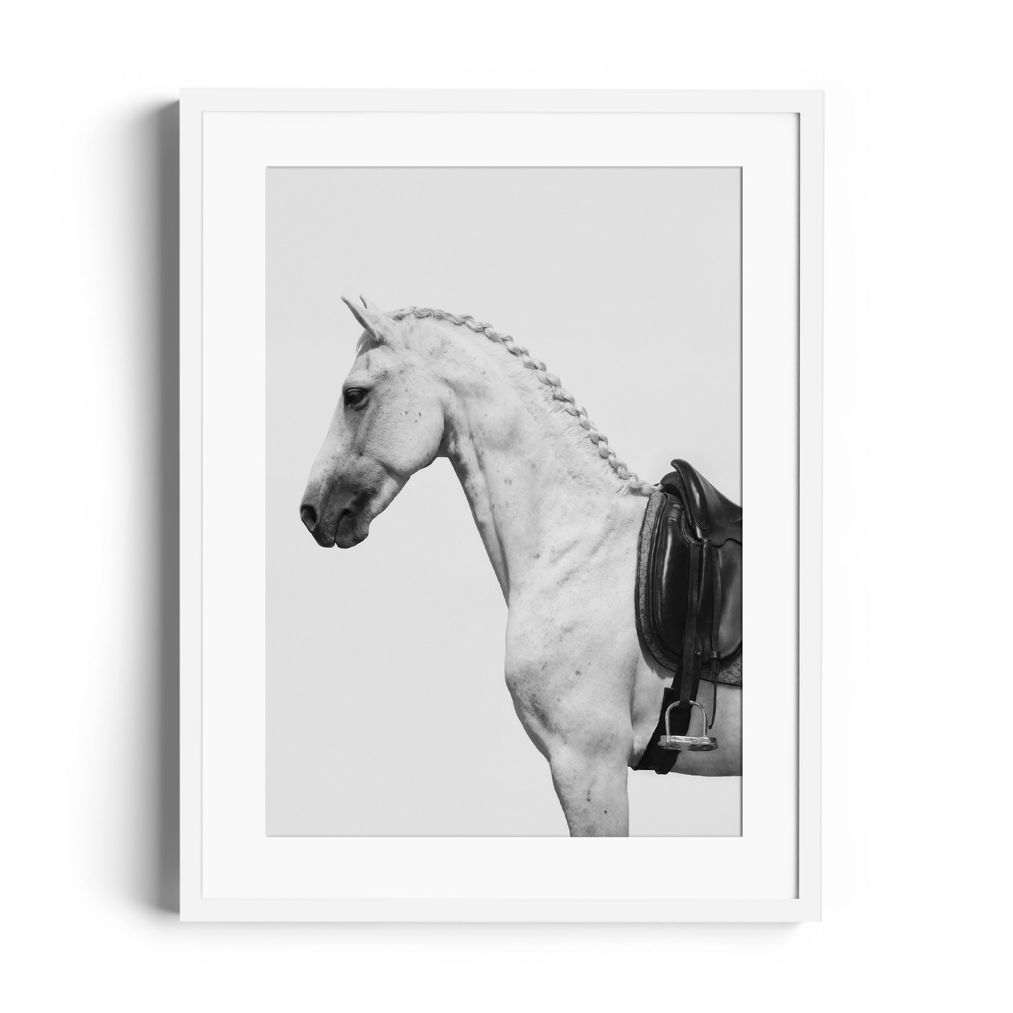 Monochromatic fine art print of a dappled grey horse with an English saddle, showcasing equestrian elegance in Miami gallery.