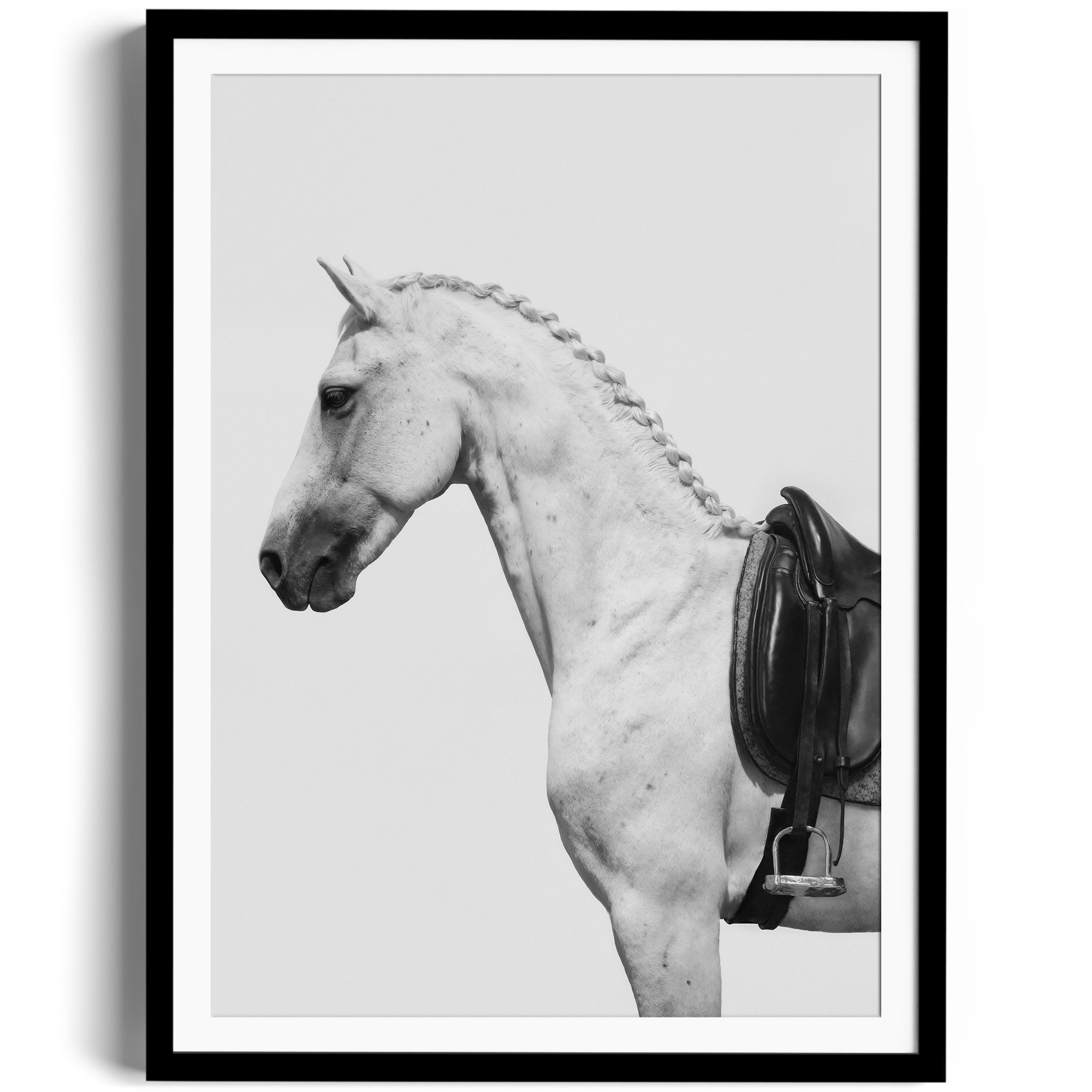 Limited edition fine art print of a dappled grey horse with an English saddle, showcasing equestrian elegance. Print fine art gallery Miami.