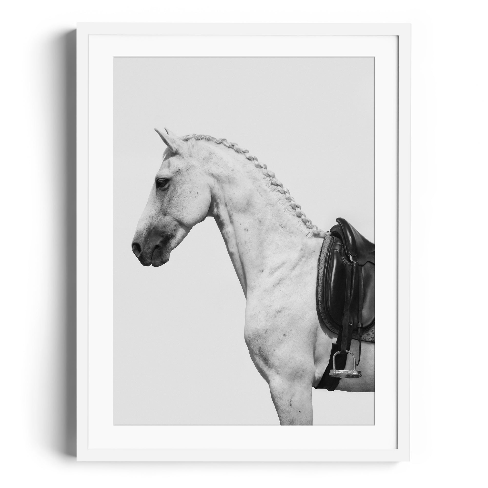 Black and white photo of a dappled grey horse with an English saddle, showcasing equestrian elegance. Print fine art gallery Miami.