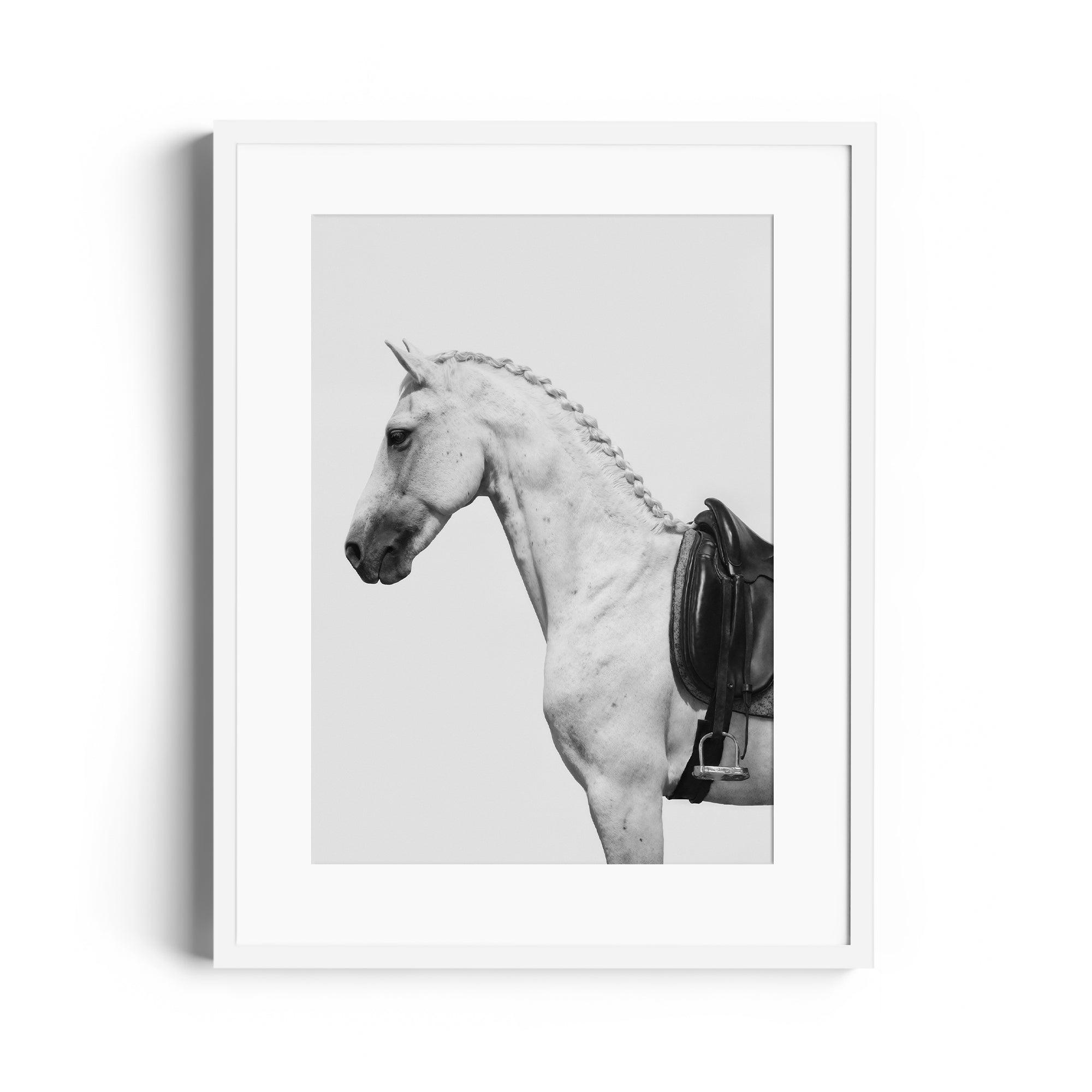 Limited edition fine art print of a dappled grey horse with an English saddle, showcasing equestrian elegance from a Miami gallery.