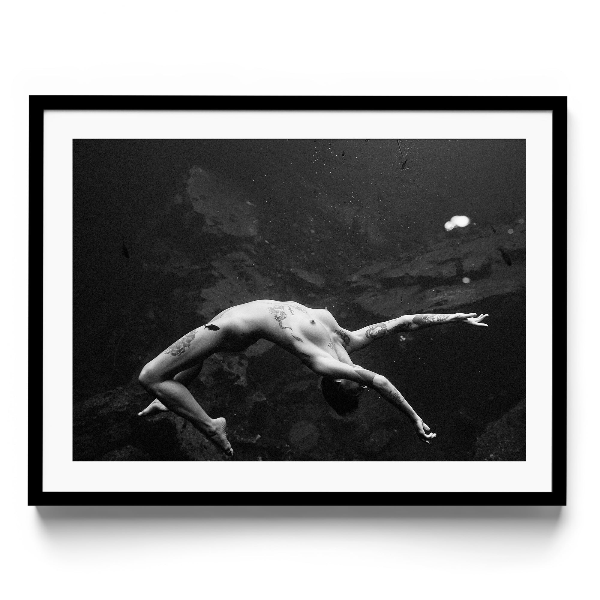 Vita - DANA GALLERYMario AlzateDANA GALLERYDANA GALLERYMario Alzate